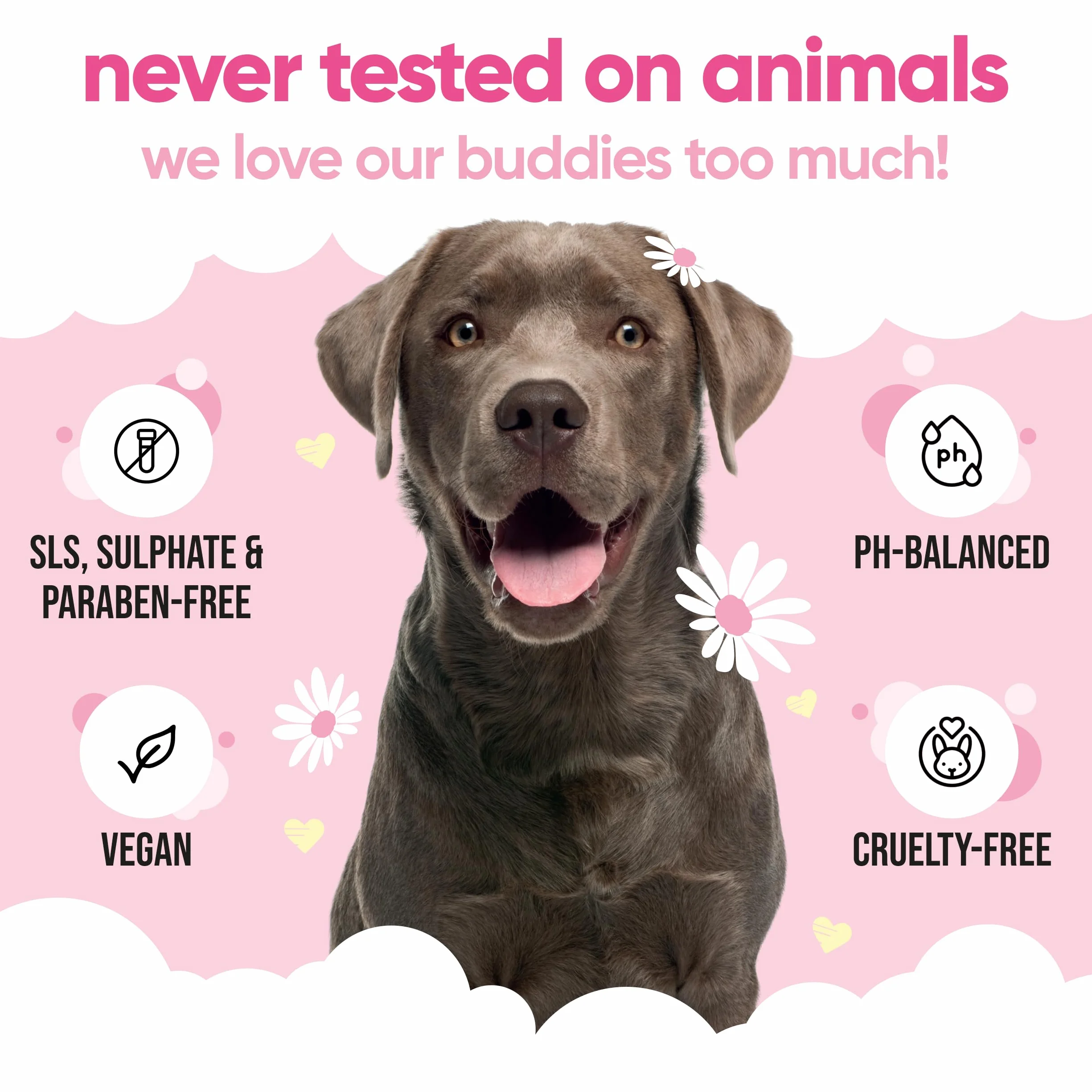 Baby Fresh Dog Shampoo by Buddycare | Deep Cleansing Shampoo for Dogs | Fresh Scented | with Aloe Vera and Pro Vitamin B5 (16.90oz)