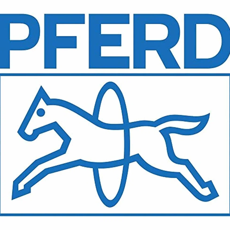 PFERD Okrągły tarnik do drewna, 200 mm, okrągły, spiczasty pilnik, ostrze ścierne na całym obwodzie H2, wraz z ergonomicznym zeszytem pilników, 11234207 – nadaje się specjalnie do uniwersalnych prac