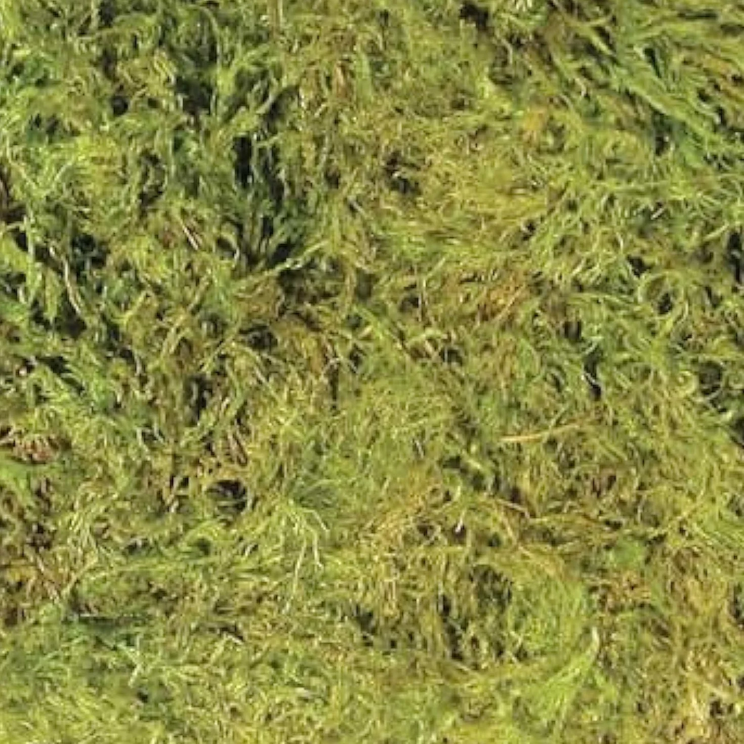 Zoomed All Natural Frog Moss, 1,3 l, czarny