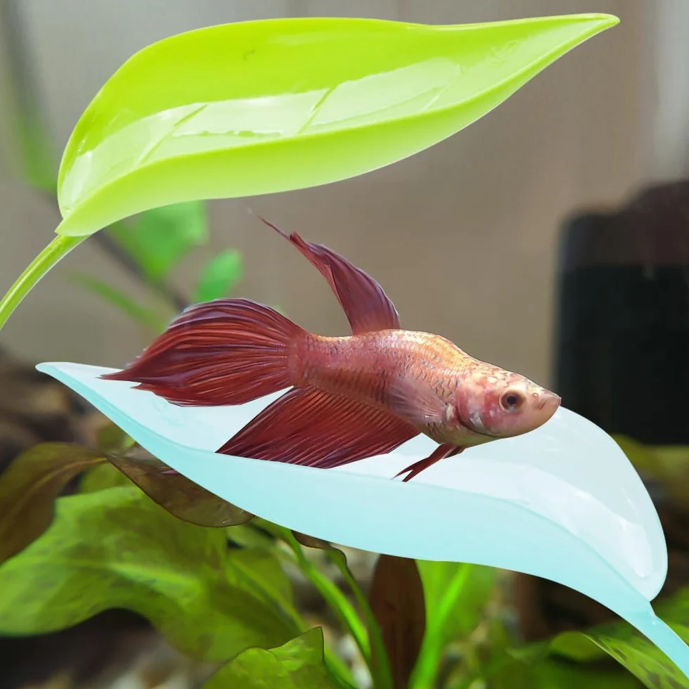 Betta Hamak z liśćmi, 3 szt. plastikowy zbiornik na ryby symulacja liść łóżko z przyssawką do akwarium, małe gady, brodate smoki