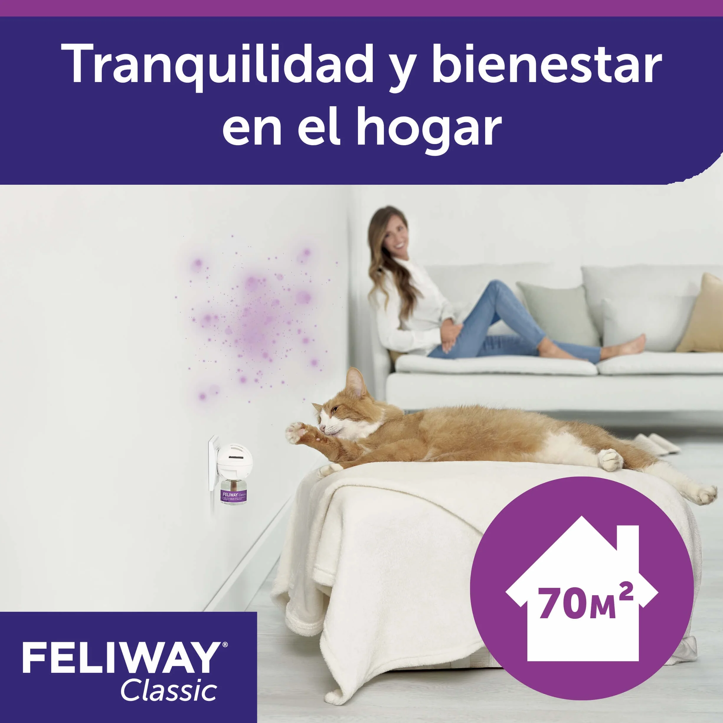 Feliway C23860B Zestaw Środków Uspokojajacych do Dyfuzora Friends, 3 x 48 ml,