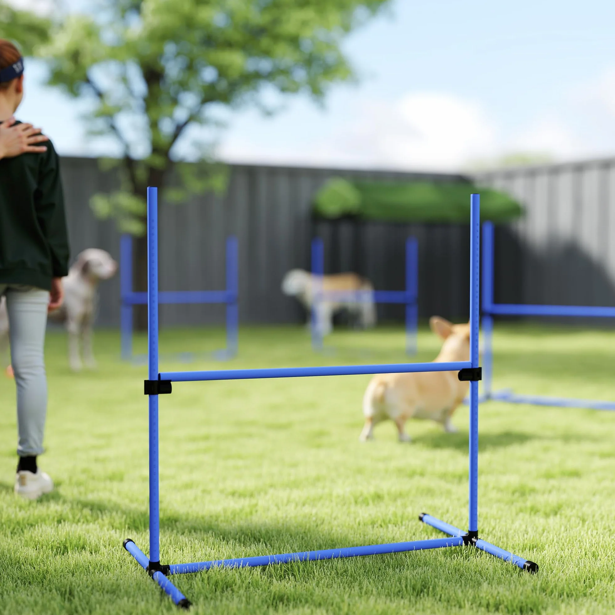 PawHut Zestaw Agility dla psów Zwinność Psów Kurs Zwinność Pies Zestaw 4 przeszkód zawodowych Regulowana wysokość z systemem podparcia podłogi 99 l x 65 l x 94H cm Dostarczona torba transportowa