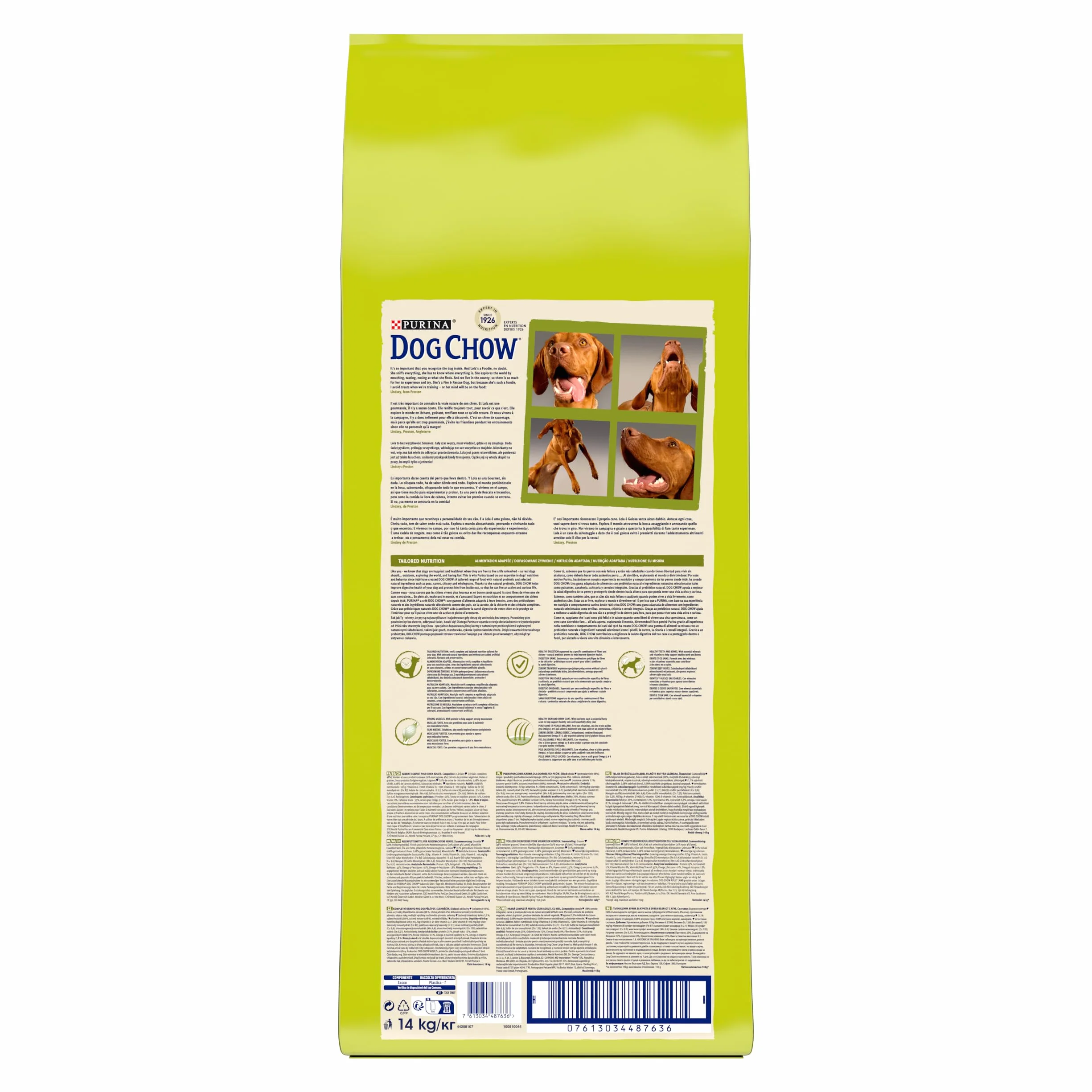 PURINA DOG CHOW | Dorosły | Karma dla dużych psów | Jagnięcina | Zestaw 1 szt. | 14 kg | Torba