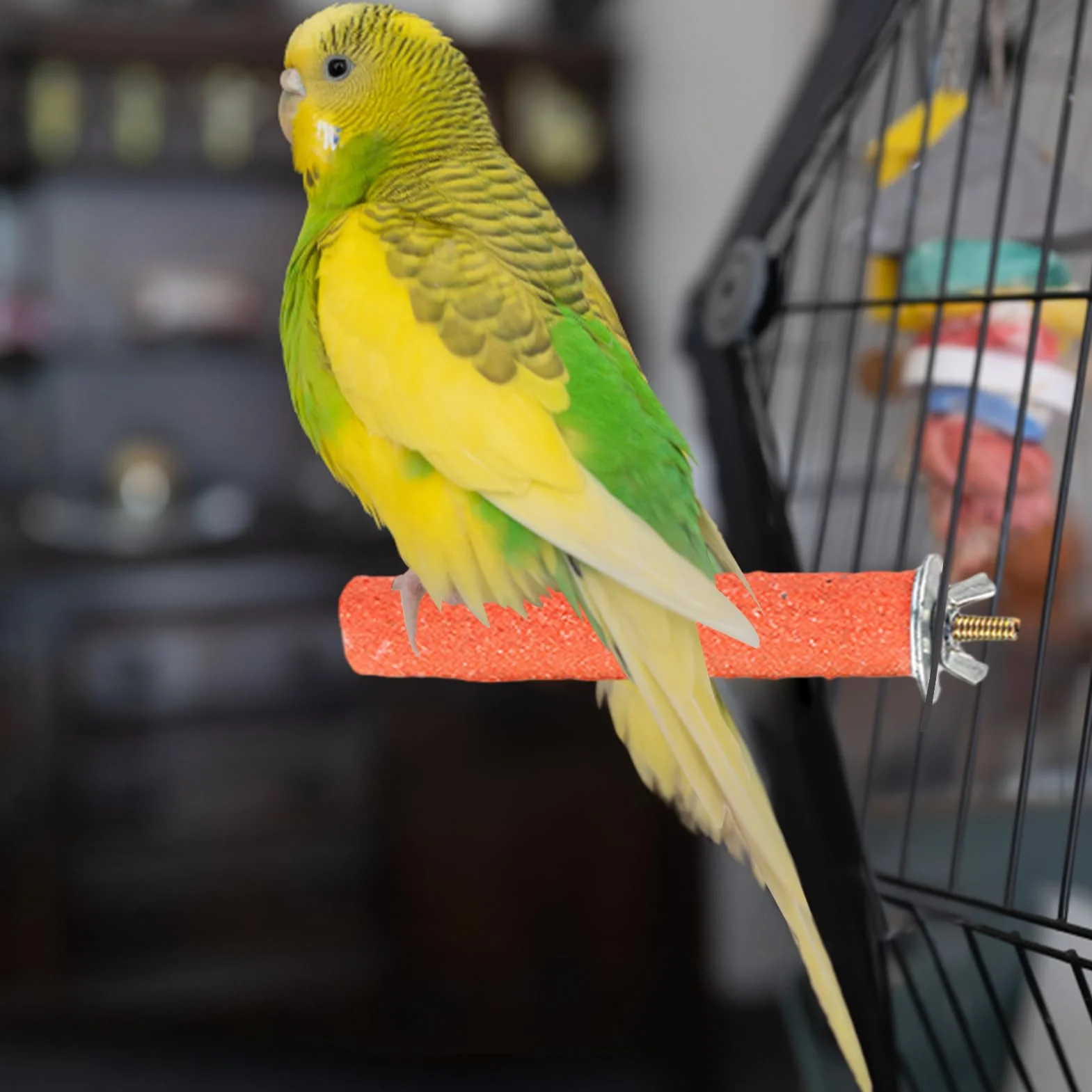 Szlifierka dla ptaków, okonia w klatce dla ptaków – Parrot Frosted stojak na okonie do klatki, zabawka do ostrzenia pazurów, dla papug, papug, gołębi