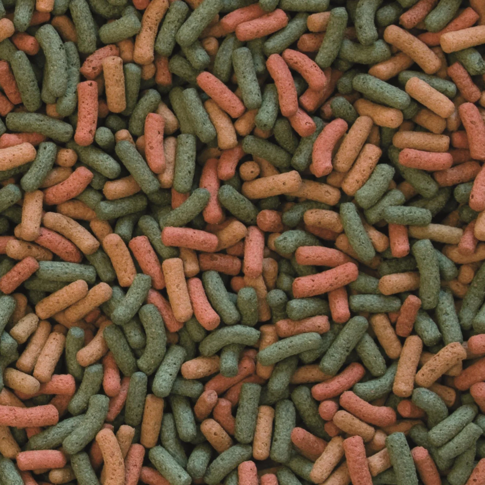 Tropical Wieloskładnikowy pokarm w formie pałeczek do codziennego karmienia żółwi wodnych BIOREPT W. 5L / 1.5kg