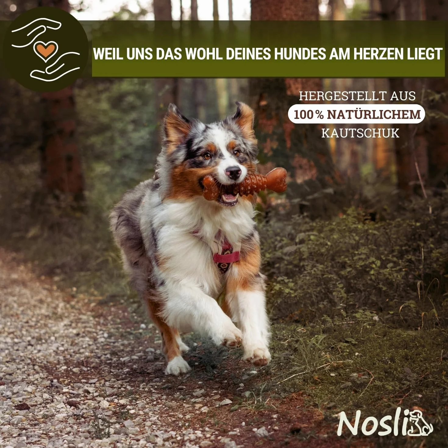 Natural Toys Football Piłka dla psa Premium ze 100% naturalnego kauczuku • Zabawka do gryzienia dla psów • Piłka do rzucania dla małych i dużych psów • Zabawka dla psów • Piłka do zabawy (S)