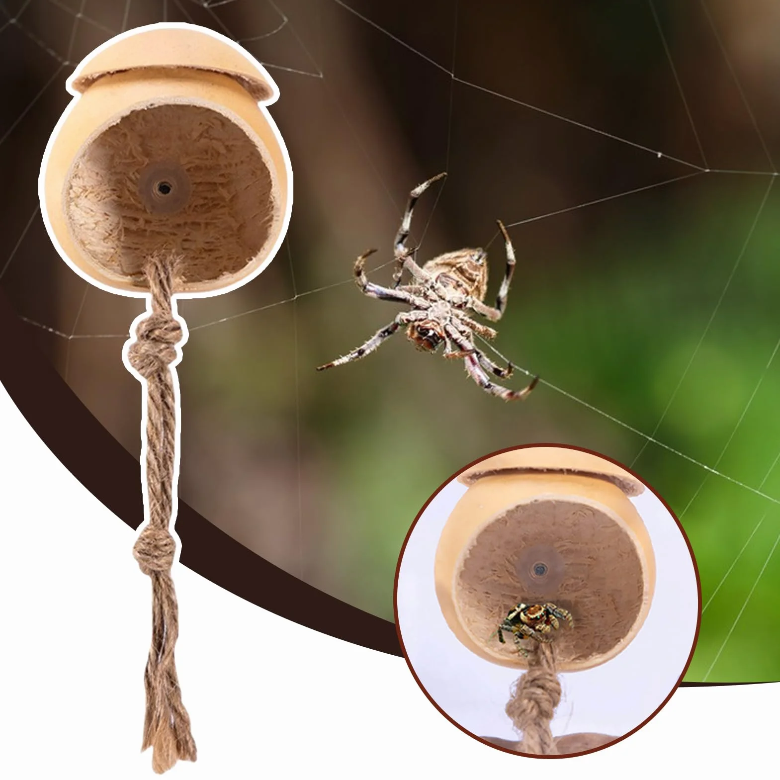 Terrarium Dla Skakunów, Ręcznie Robiona Klatka dla Skaczących Pająków z Przyssawką, Dekoracyjne Terrarium W Kształcie Tykwy Akcesoria Dla Jaszczurek I Żab