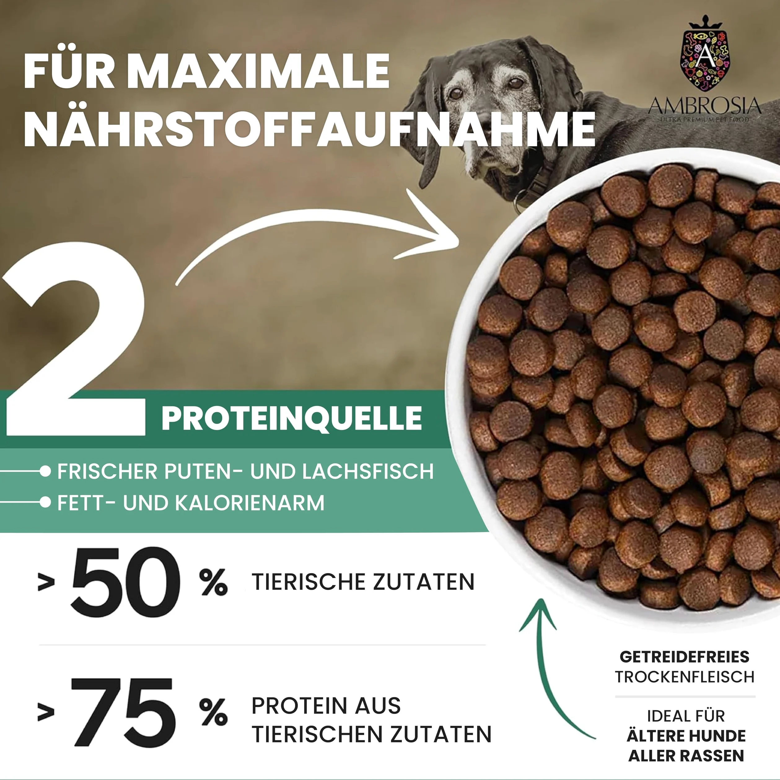 Ambrosia Ultra Premium Pet Food - Świeży indyk i łosoś – kontrola wagi – całościowo hipoalergiczna, nie zawiera zbóż, dla starszych i sterylizowana karma dla psów (12 kg)