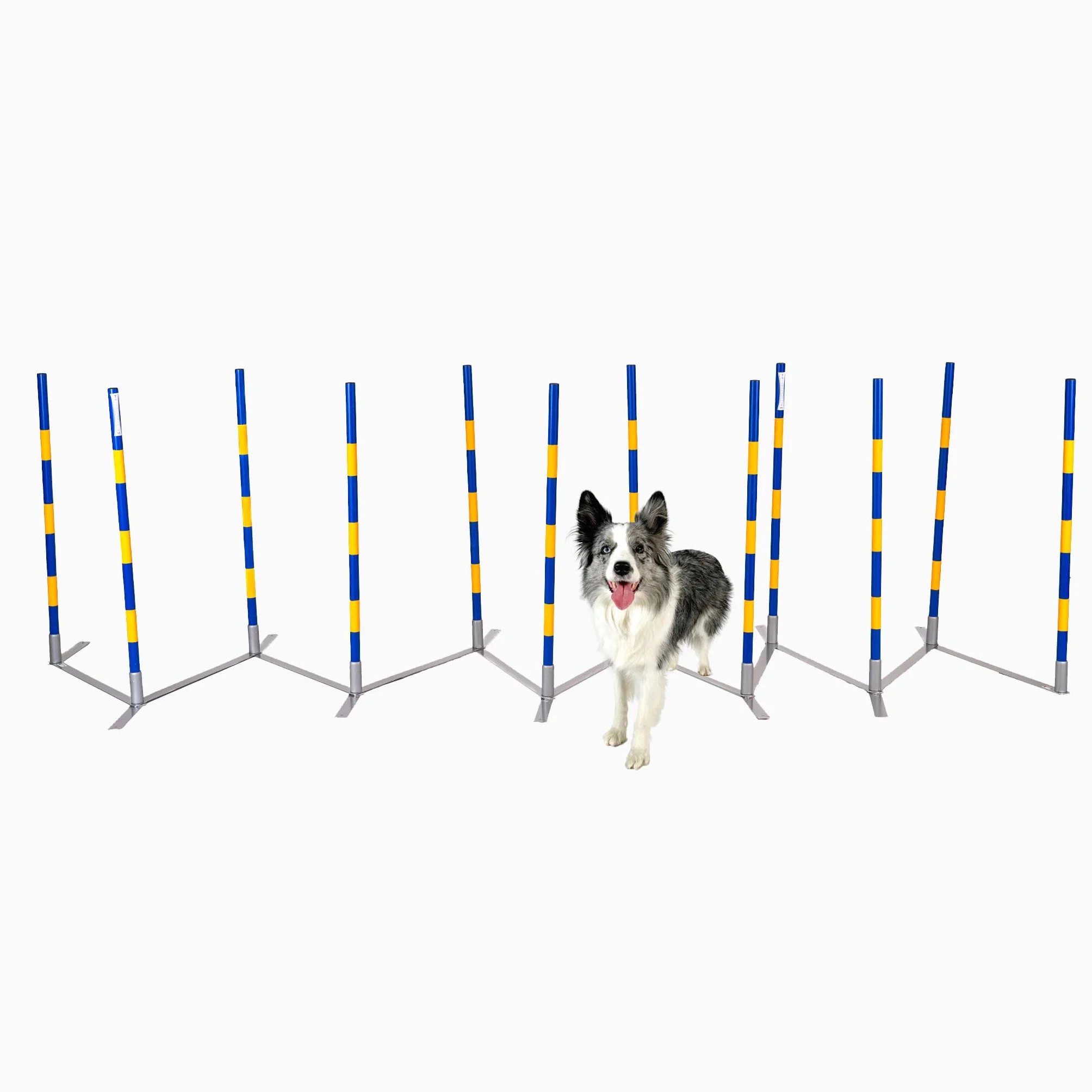 Callieway Orig Agility Slalom, TRICHTERSLALOM®, Gassenslalom, Agility Channel Weaves (zgodne z FCI)