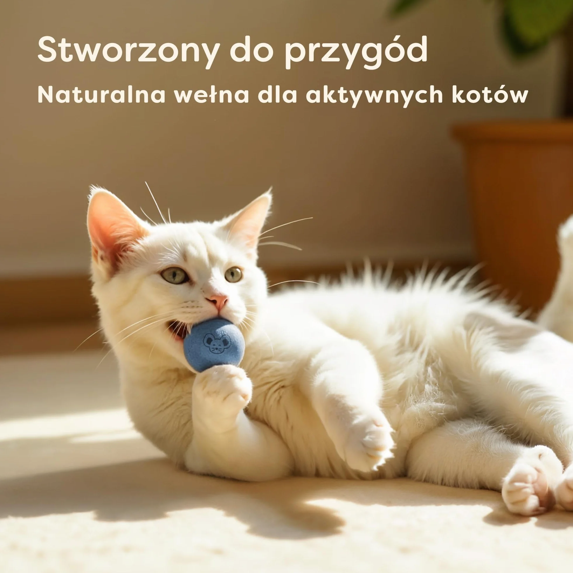 Knupis Piłeczki Dla Kota Z Dzwoneczkami 4 Wełna Zrównoważona Zabawka Jasne Kolory Cichy Dźwięk Torba Do Przechowywania