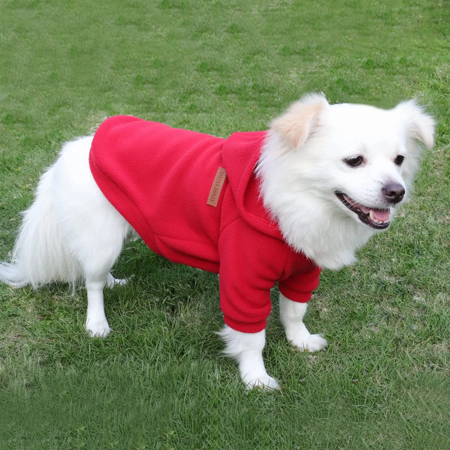 Bluza z kapturem dla psa Chihuahua Sweter polarowy XXL 2 sztuki czarny czerwony