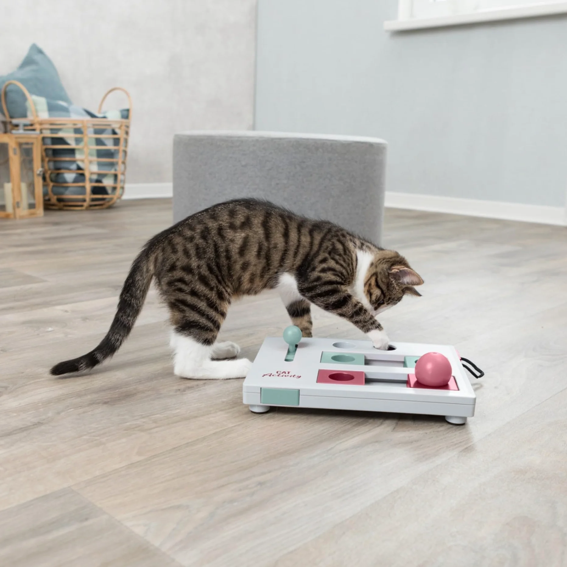 TRIXIE Cat Activity Brain Mover, gra strategiczna stymulacji psychicznej, interaktywna zabawa dla kotów, dozownik smakołyków, zabawka dla kota