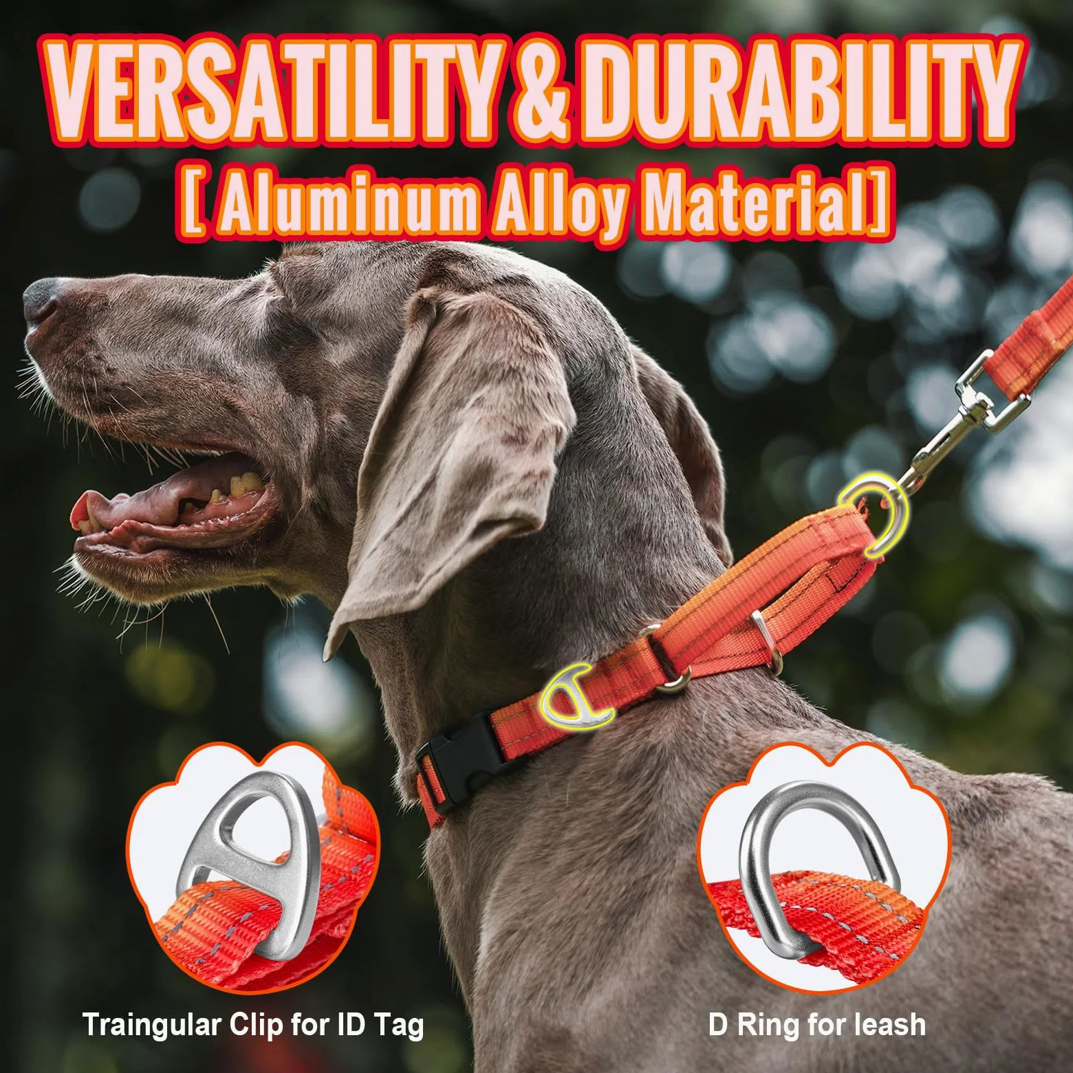 Obroża dla psa odblaskowa przeciw trakcji nylonowa pomarańczowa Arblina Martingala dla Whippets Greyhounds Saluki American Bully
