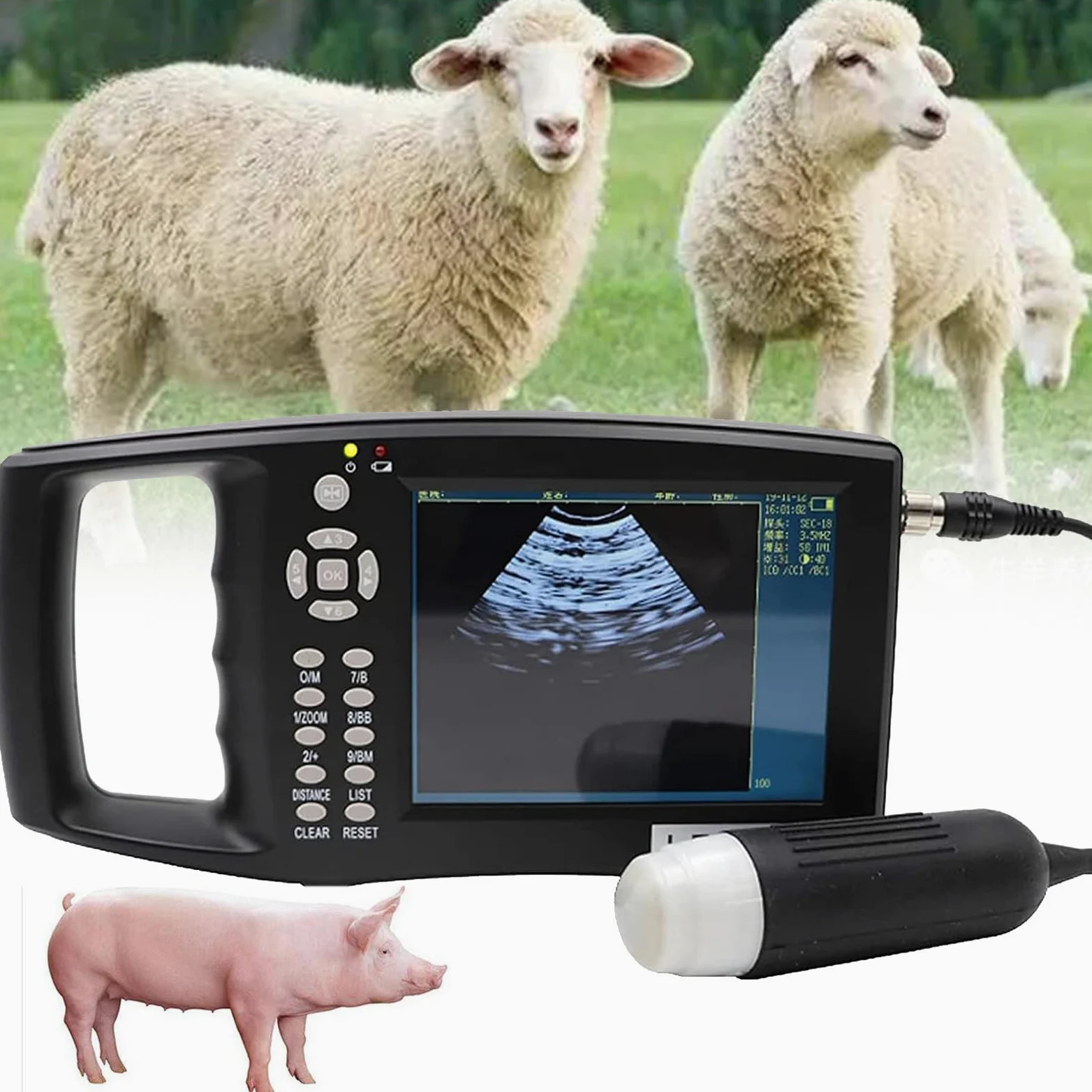 Zestaw weterynaryjnego skanera ultradźwiękowego z 12 kolorowym ekranem, przenośna maszyna do testów ciążowych HD, z mechaniczną sondą do pomiaru ciąży świń i owiec