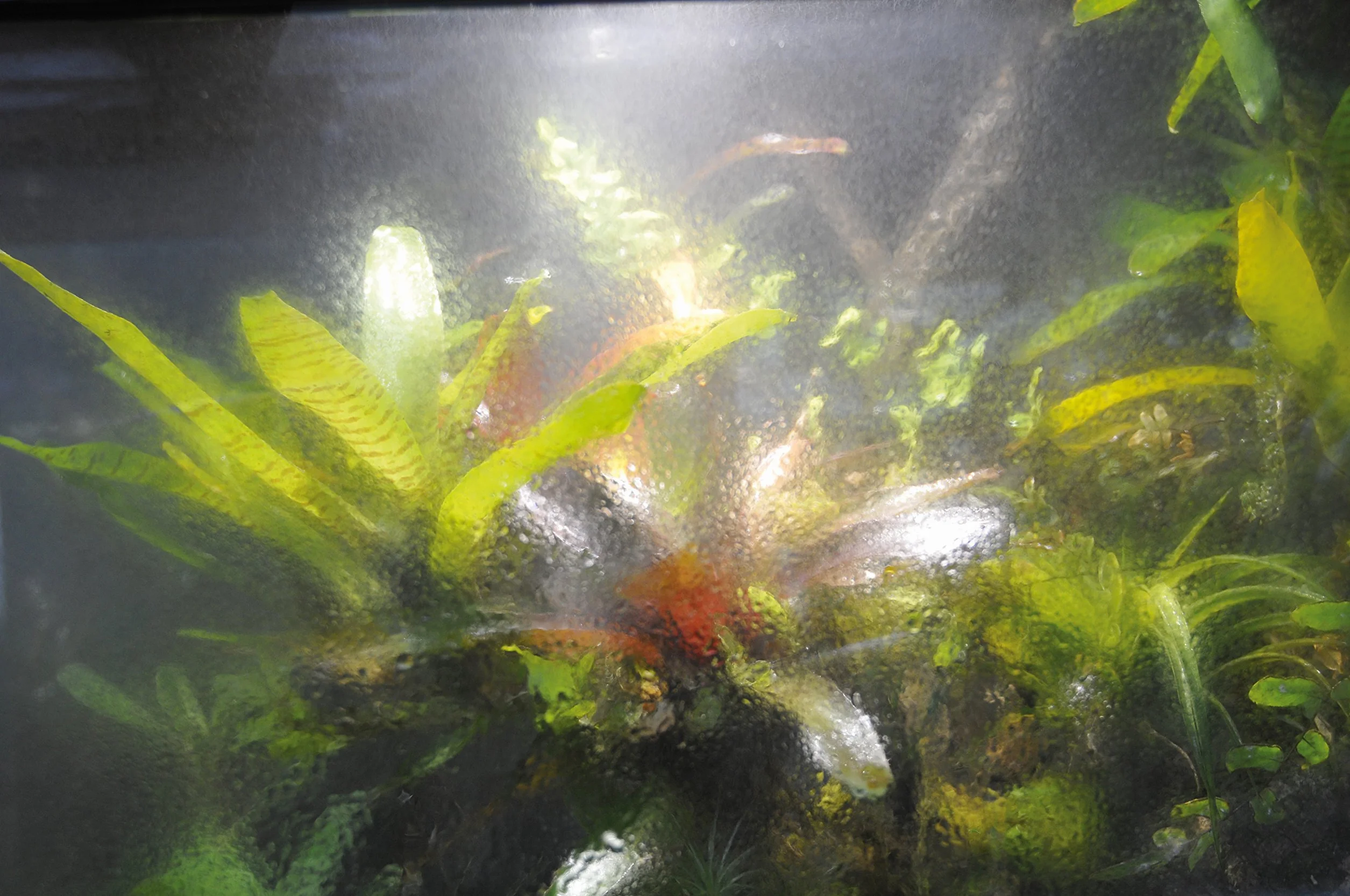 Lucky Reptile Terra Fan - Dodatkowy wentylator do zestawu Terra Fan Set - Niskonapięciowy wentylator dla dobrego wietrzenia terrarium i akwarium - Zapobiega zastojowi wilgoci i duszności