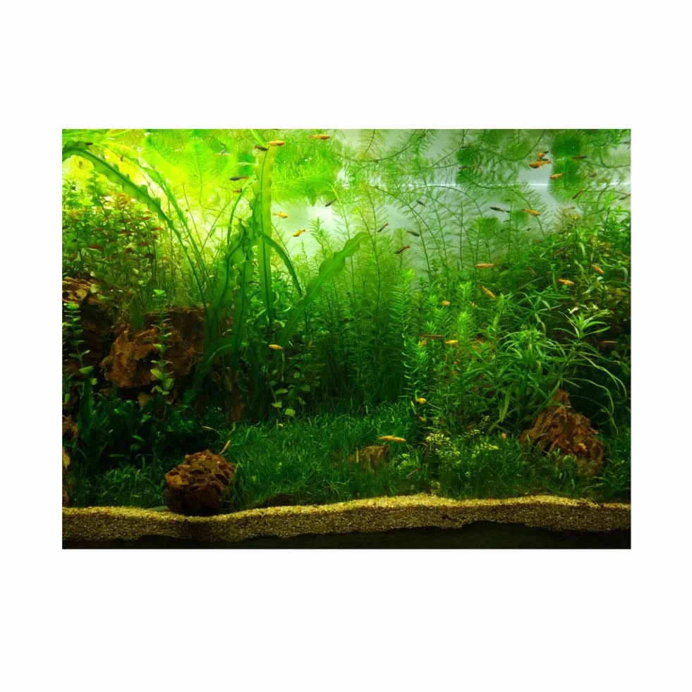 Plakat do akwarium, tło morskie, dekoracja trawy, materiał PCW, 76 x 30 cm