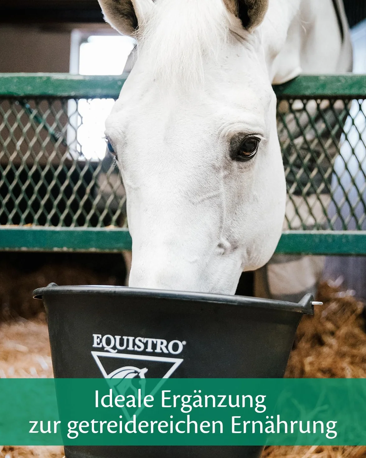 EQUISTRO® Mega Base | karma uzupełniająca dla koni | wysokiej jakości karma mineralna wspomagająca ssanie zapotrzebowania na składniki odżywcze | 3 kg