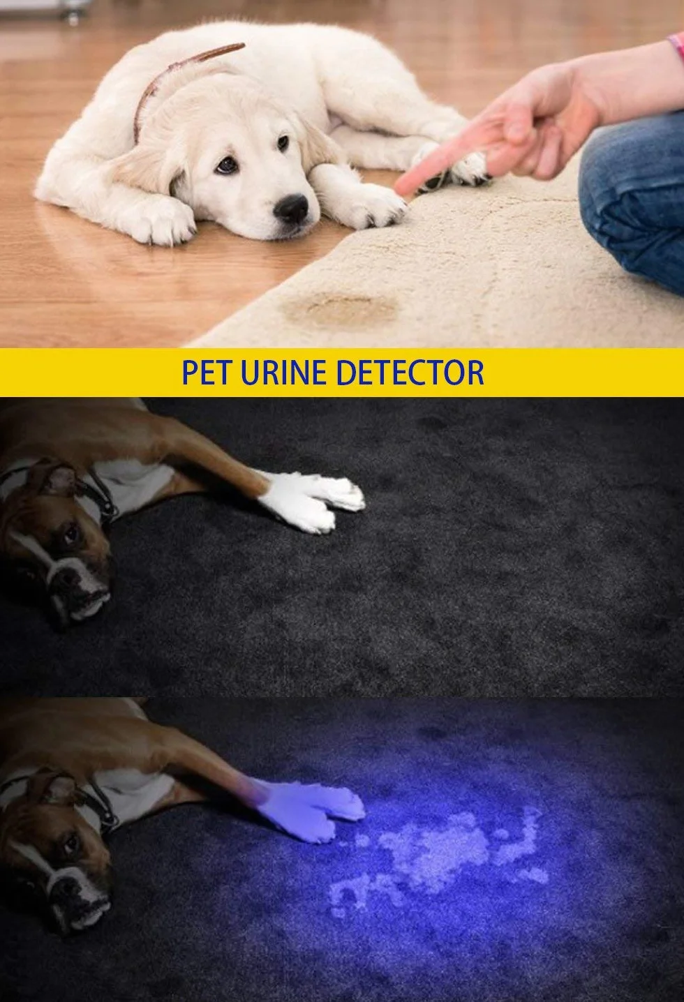 DARKBEAM Latarka UV 395nm Czarnym Światłem Przenośna LED Detektor Plam Zwierząt