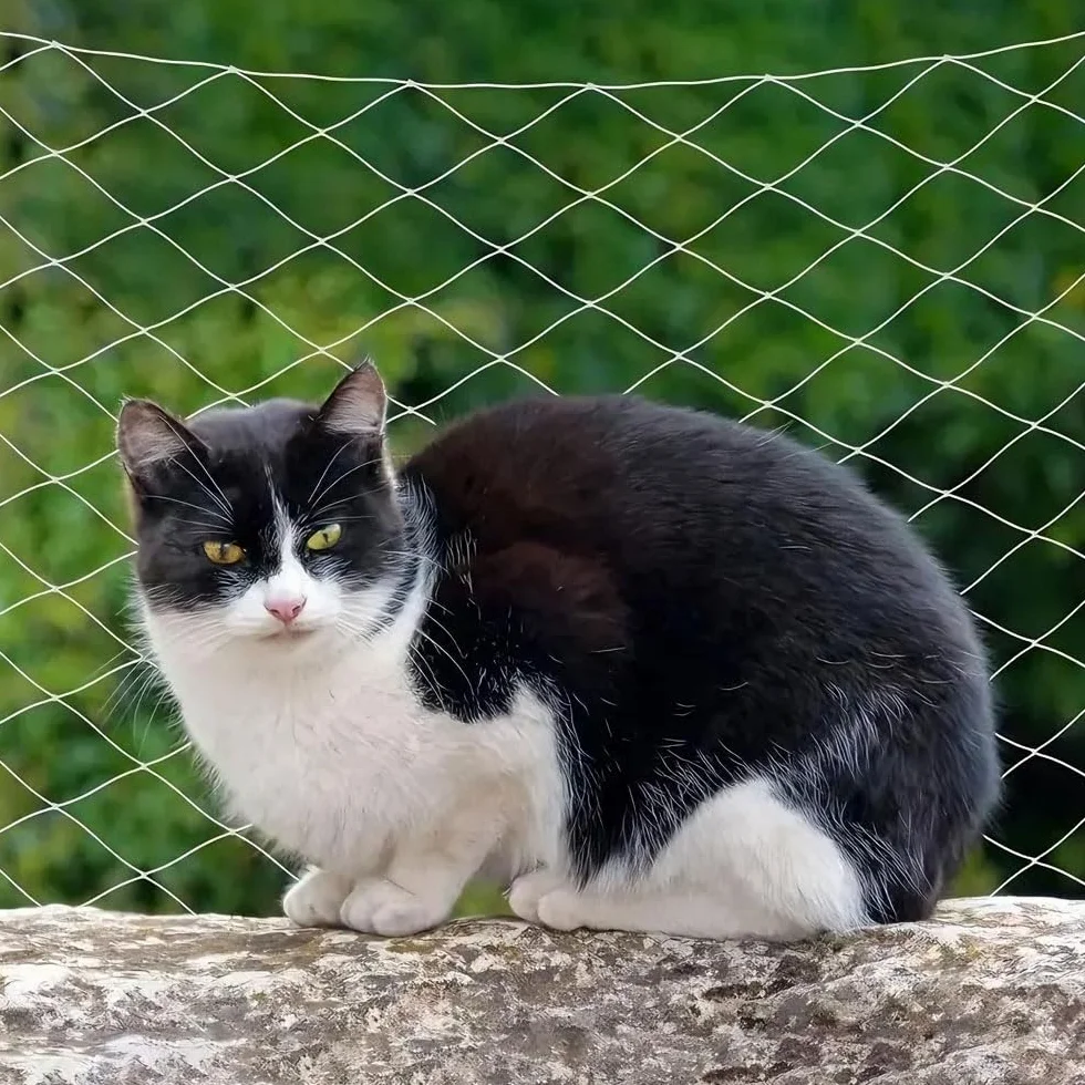 Mineup Siatka ochronna dla kota na balkon 10x3 m przezroczysta wzmocniona drutem