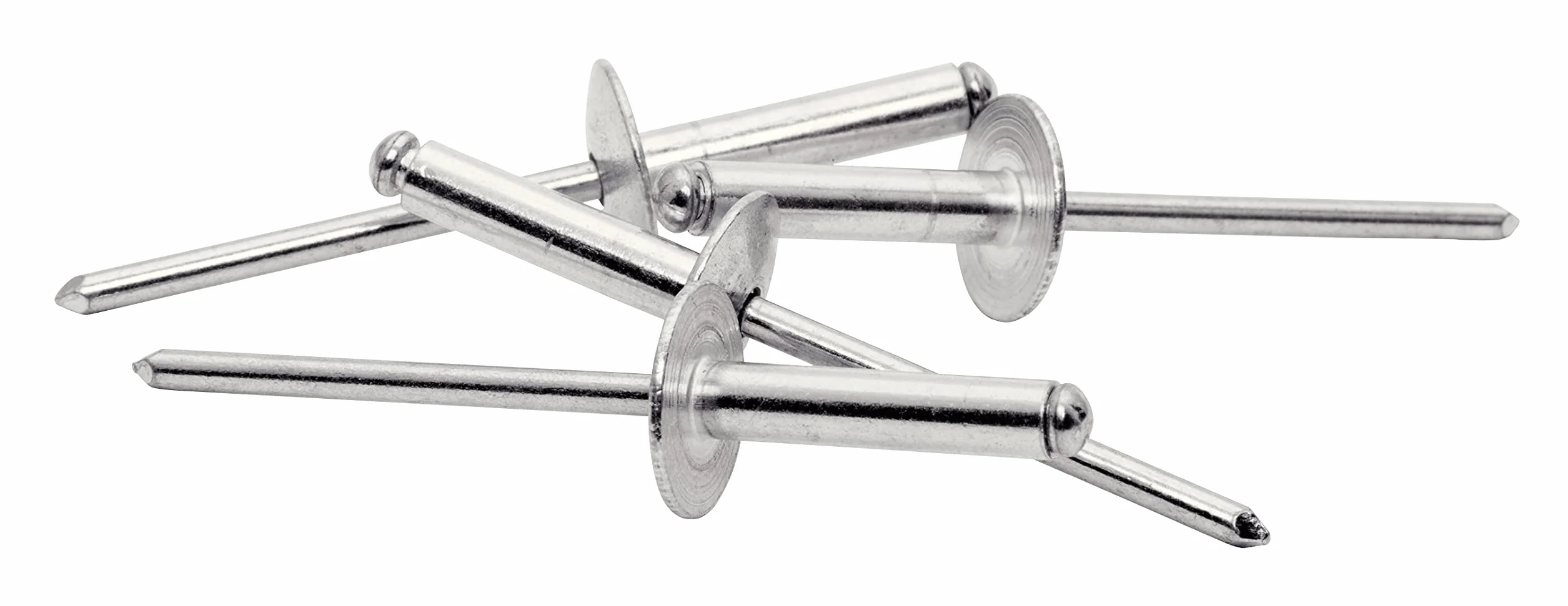 Rapid 5000663 XL nity zrywalne (płaska główka okrągła) Ø 4 x 18 mm, 40 sztuk wraz z wiertłem, szary, ø4 mm