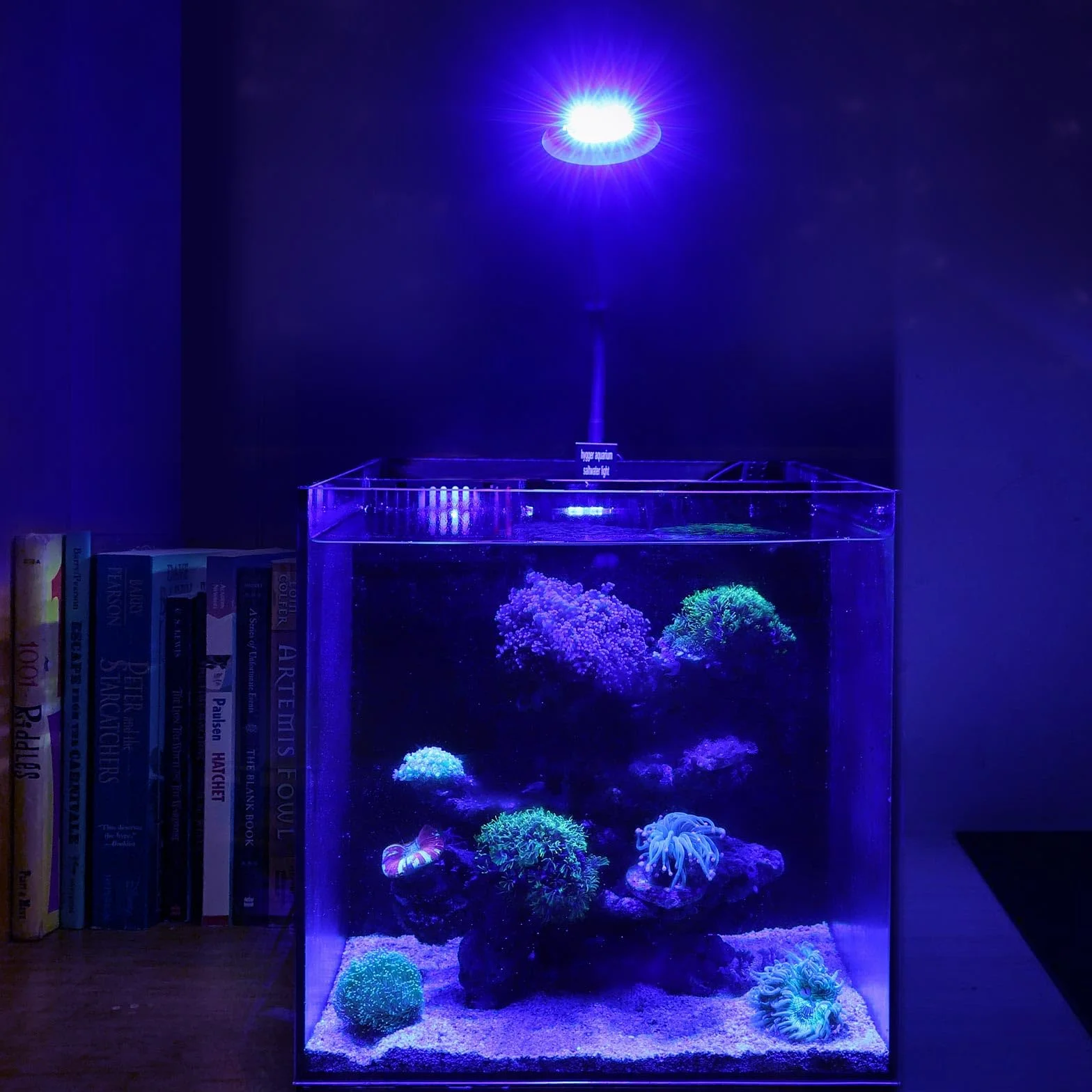 hygger Klips na światło LED do akwarium morskiego 30 W regulowana jasność Saltwater Aquarium Light