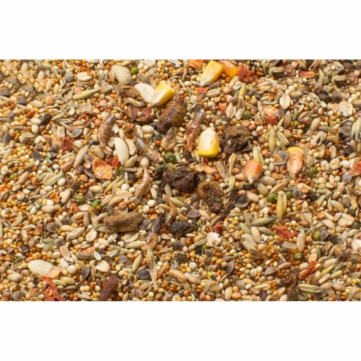 JR Farm Hamster-Schmaus 600 g (ilość: 6 na jednostkę zamówienia)