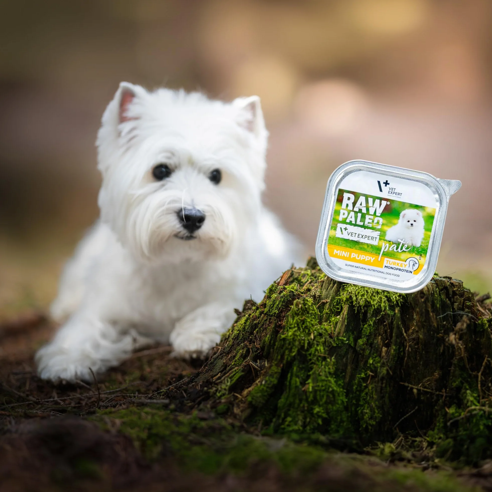 PATE MINI PUPPY TURKEY 12x150g - mokra karma dla szczeniąt - indyk
