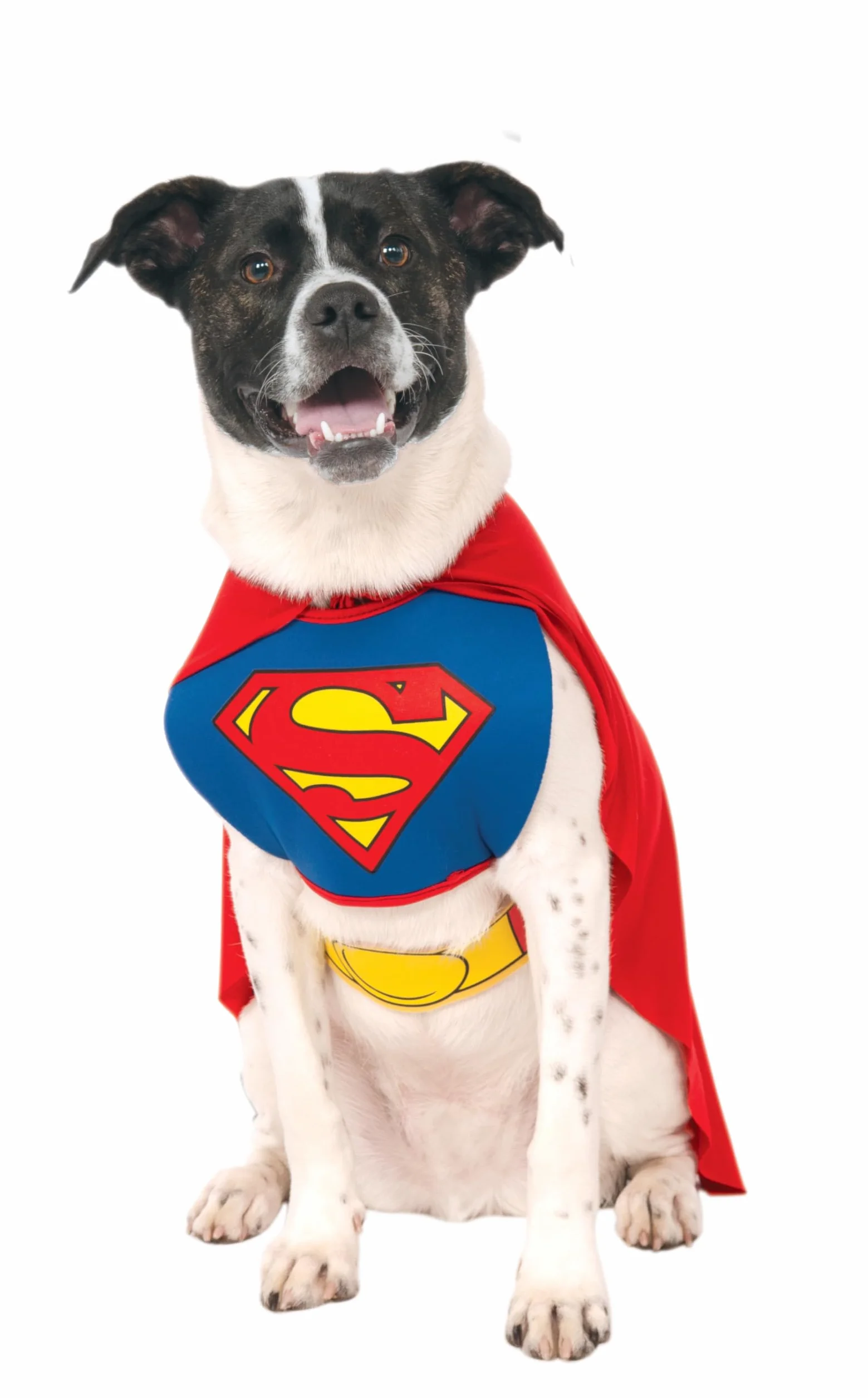 Rubie's Oficjalny kostium dla psa, Superman