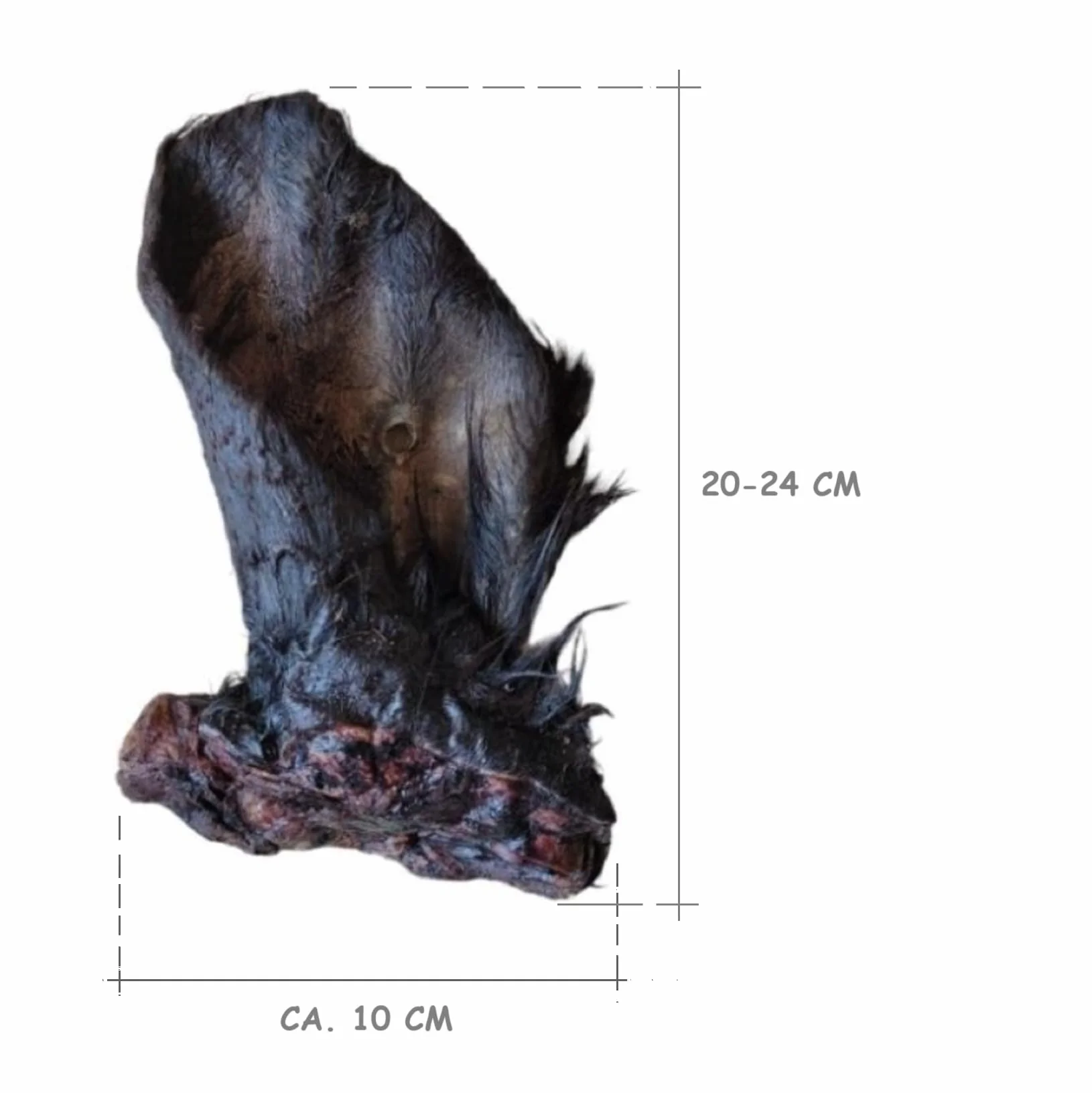 Uszy wołowe z futrem XXL, 10 sztuk, Gryzak dla psów dużych i średnich, 15–22 cm,100% naturalny Przysmak do Żucia, Polska Produkcja
