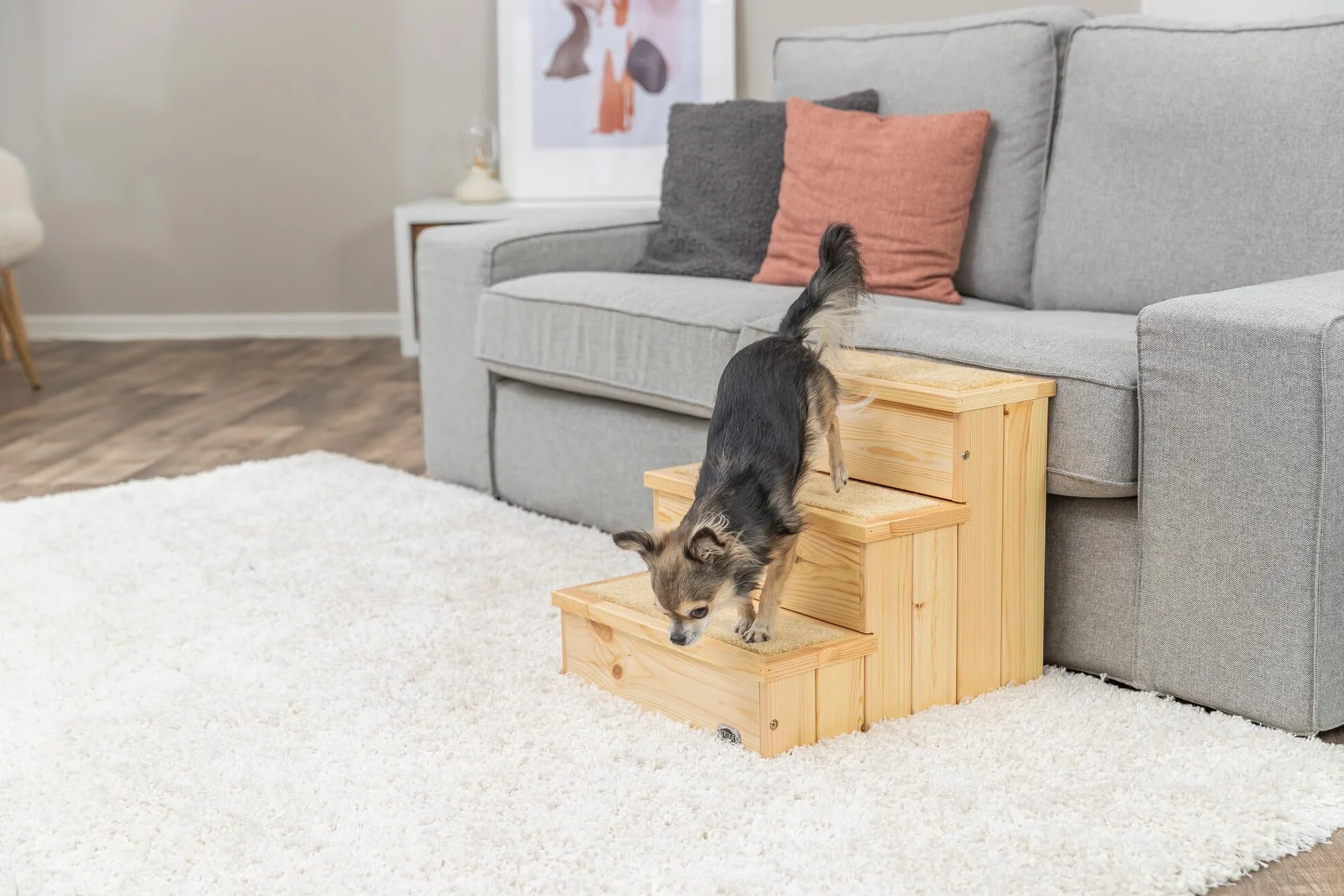 Trixie 3943 PetStair, schody, 40 × 38 × 45 cm, naturalne, 1 sztuka (1 opakowanie)