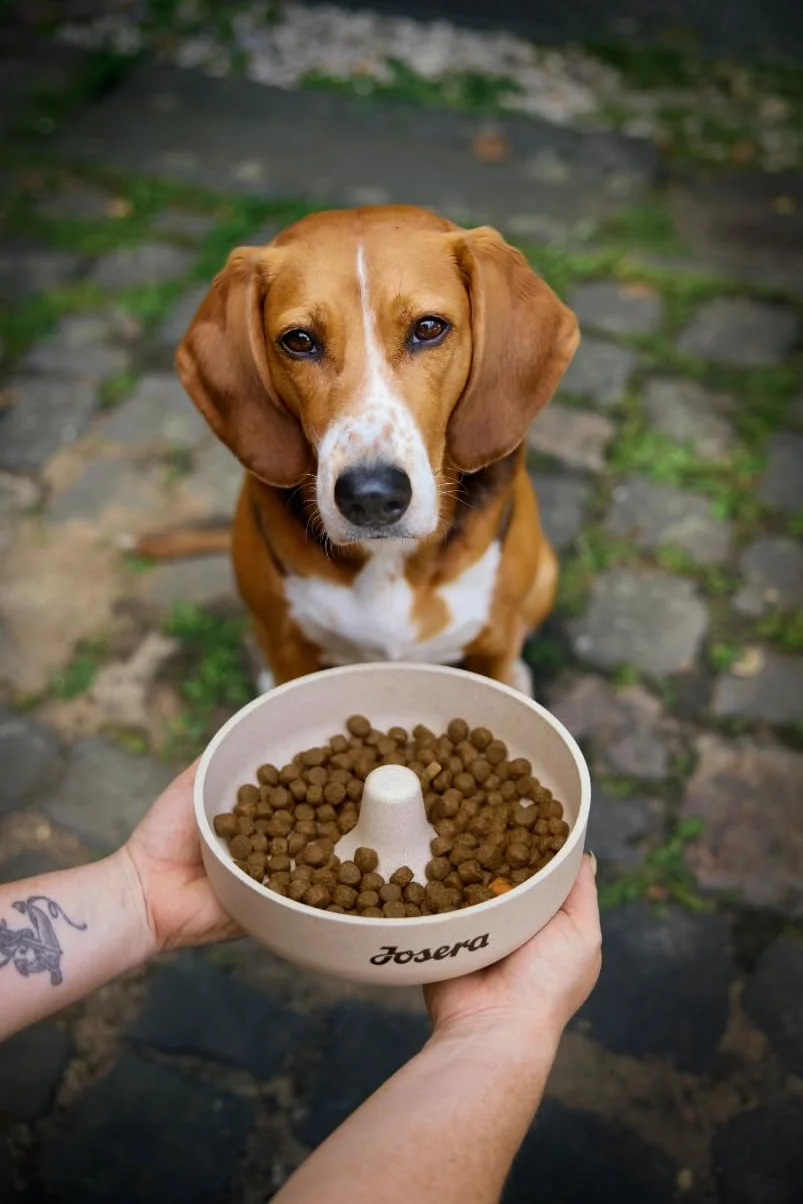 JOSERA Jagnięcina i ryż sucha karma dla dorosłych psów 12,5 kg monoproteina niska zawartość białka