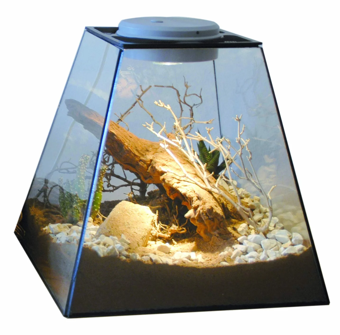 Lucky Reptile Life Experience LDS-01 Nano Dry Terrarium zestaw dekoracyjny z naturalnych materiałów o tematyce pustyni