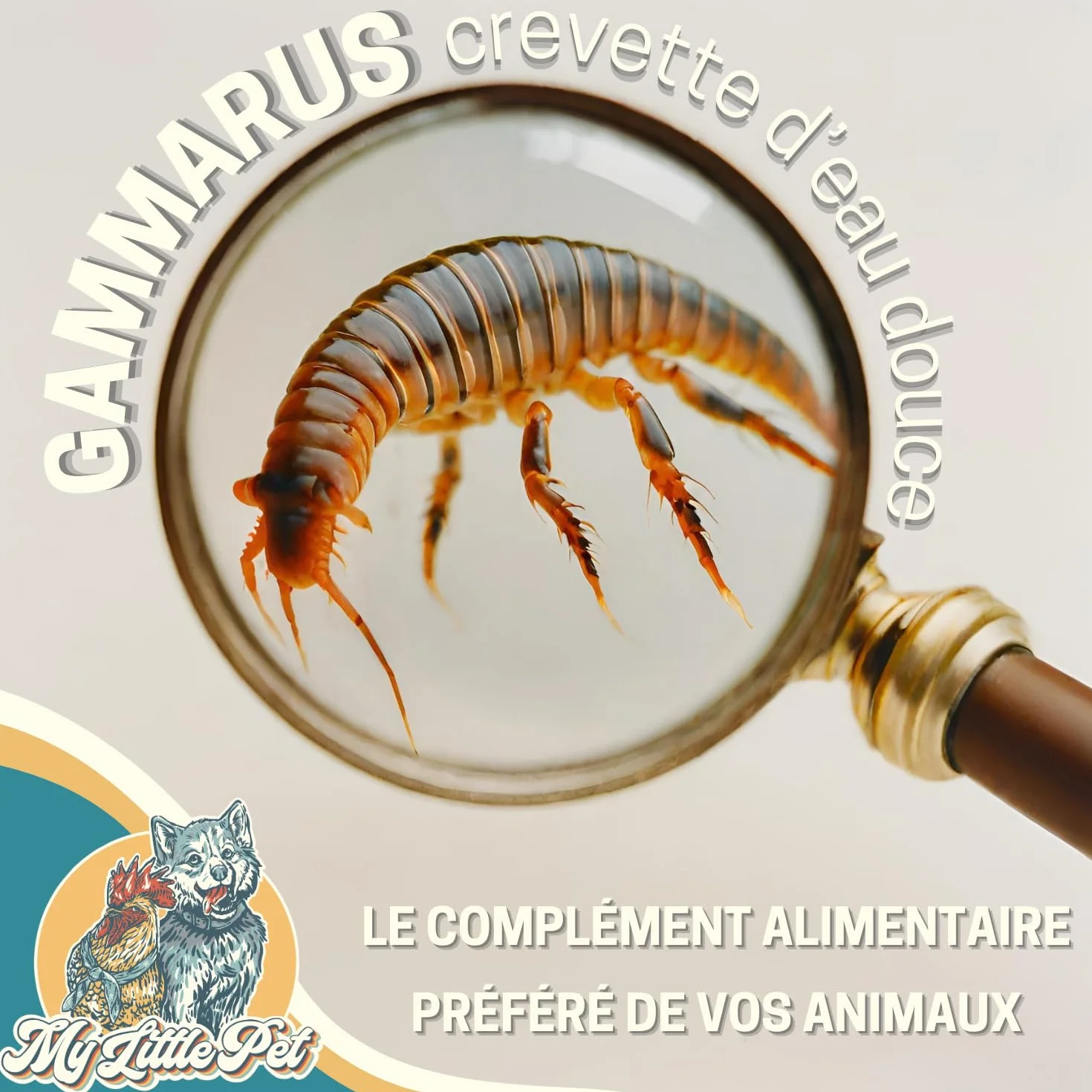50g Gammarus wysokiej jakości | Białko +42% | Pokarm dla żółwi, Koi, Ryb, Gady | Suszone Krewetki Słodkowodne | Worek zamykany | Naturalny suplement diety | Francuska marka