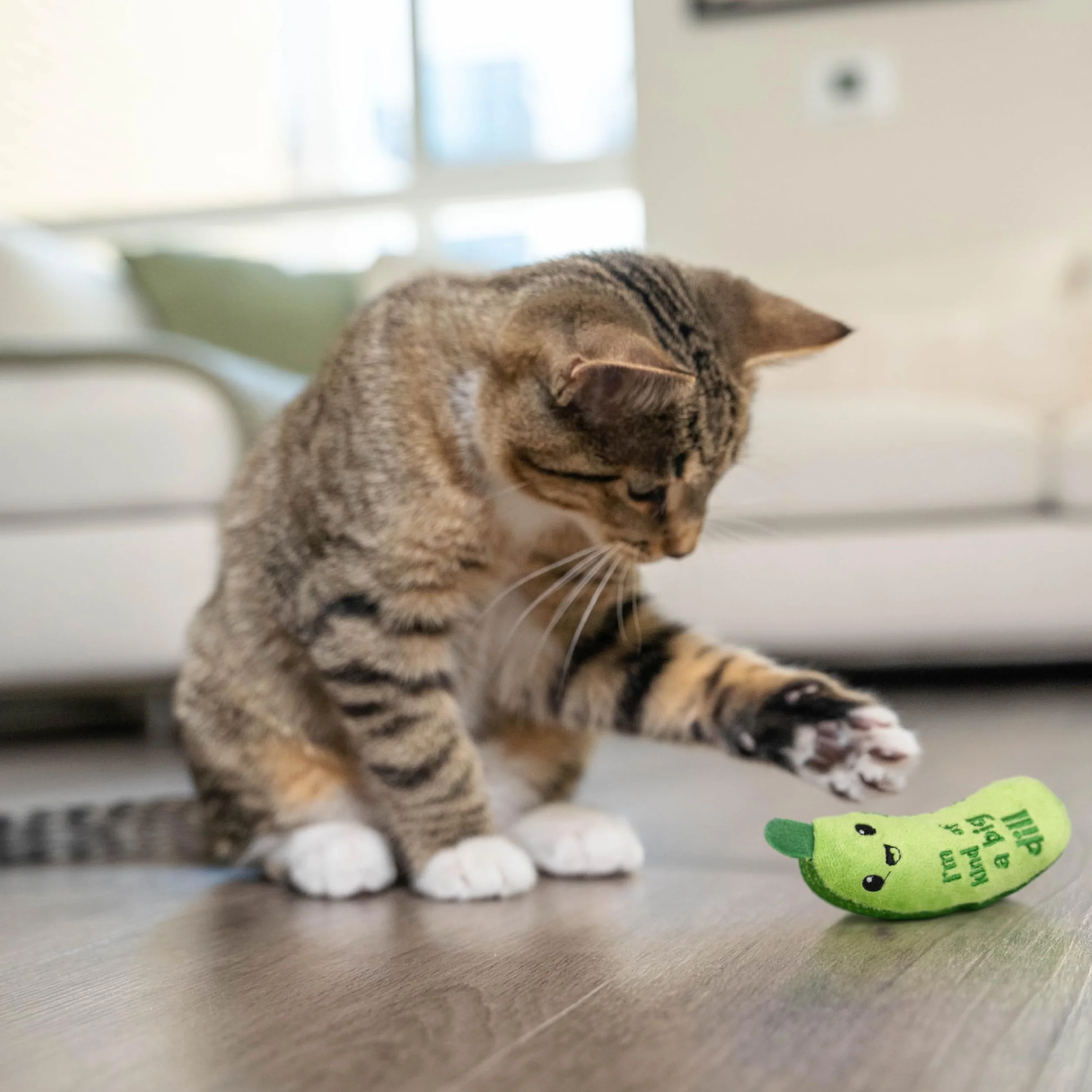 Petstages Crunchy Pickle Kicker Dental Catnip zabawka dla kota