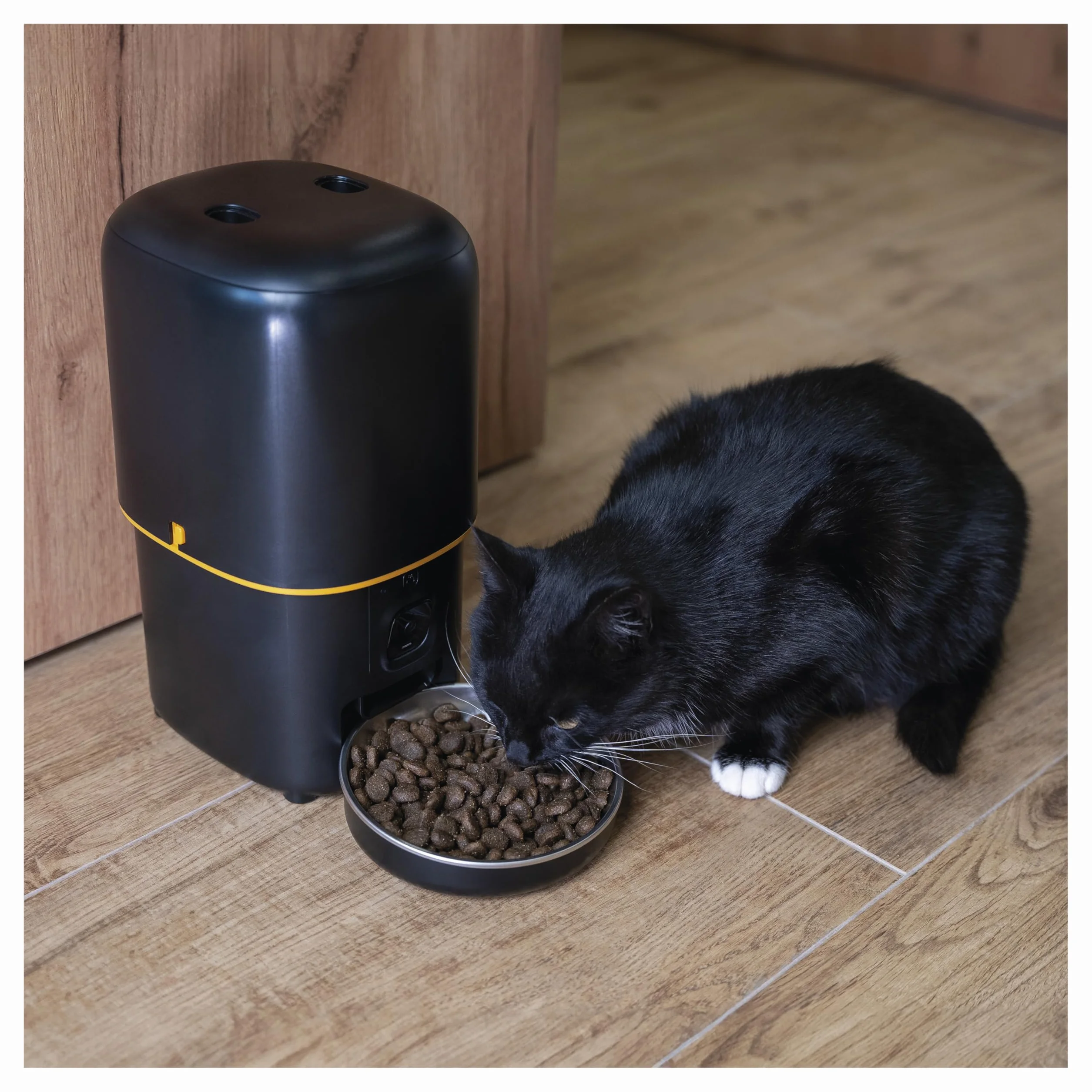 EMOS - GoSmart automat do karmy 4 l – WLAN Pet Care dozownik karmy z aplikacją – automat do suchej karmy dla kotów i psów z harmonogramem, nagrywanie głosu, dozowanie 1-10 posiłków dziennie - czarny
