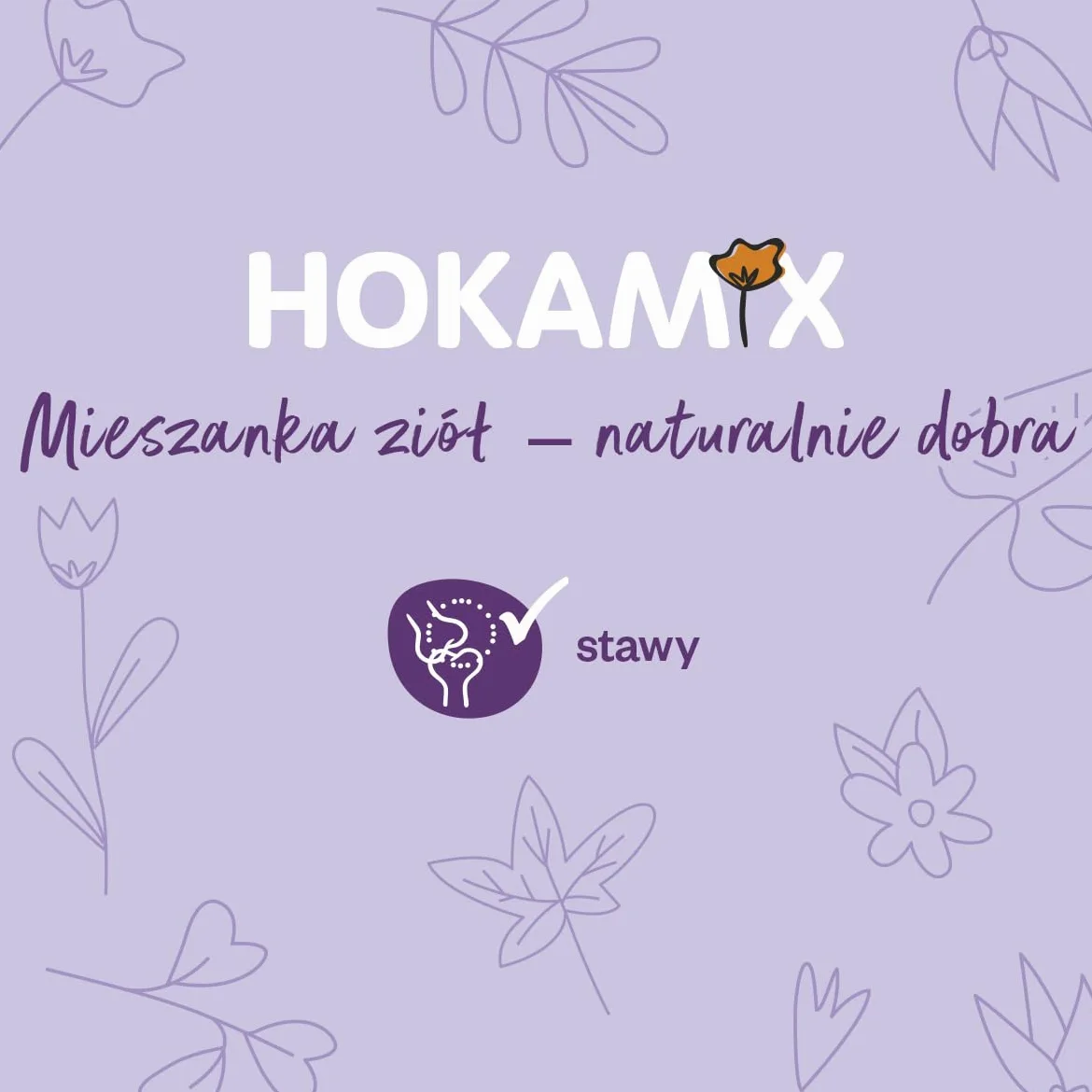 szary | Hokamix30 przeguby + proszek | 1,5 kg
