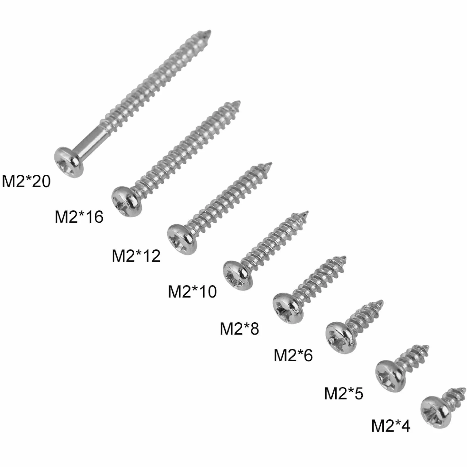 Wkręty samogwintujące z łbem walcowym, 800 szt.M2 4mm do 20mm wkręty samogwintujące z łbem walcowym łbem walcowym śruby do obróbki drewna z pudełkiem