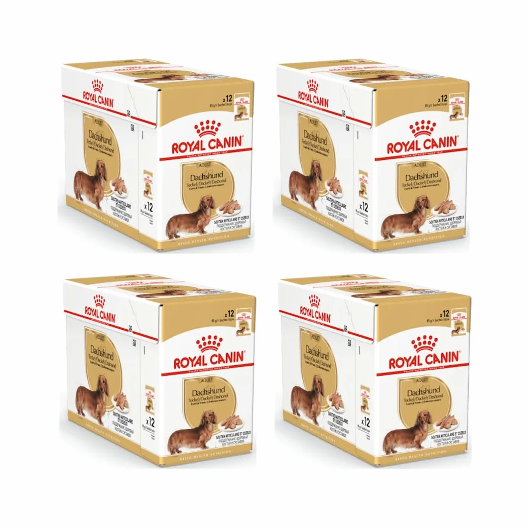 Royal Canin Jamnik mus dla dorosłych | 4 sztuki w opakowaniu | 4 x 12 x 85 g | pełnoporcjowa karma dla psów | dla dorosłych jamników | może pomóc w ochronie kości i stawów