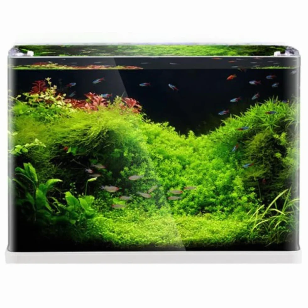 Aquariumline otwarte akwarium ze szkła, ekstra klarowne szkło panoramiczne, 55 l, 60 x 30 x 33,5 cm