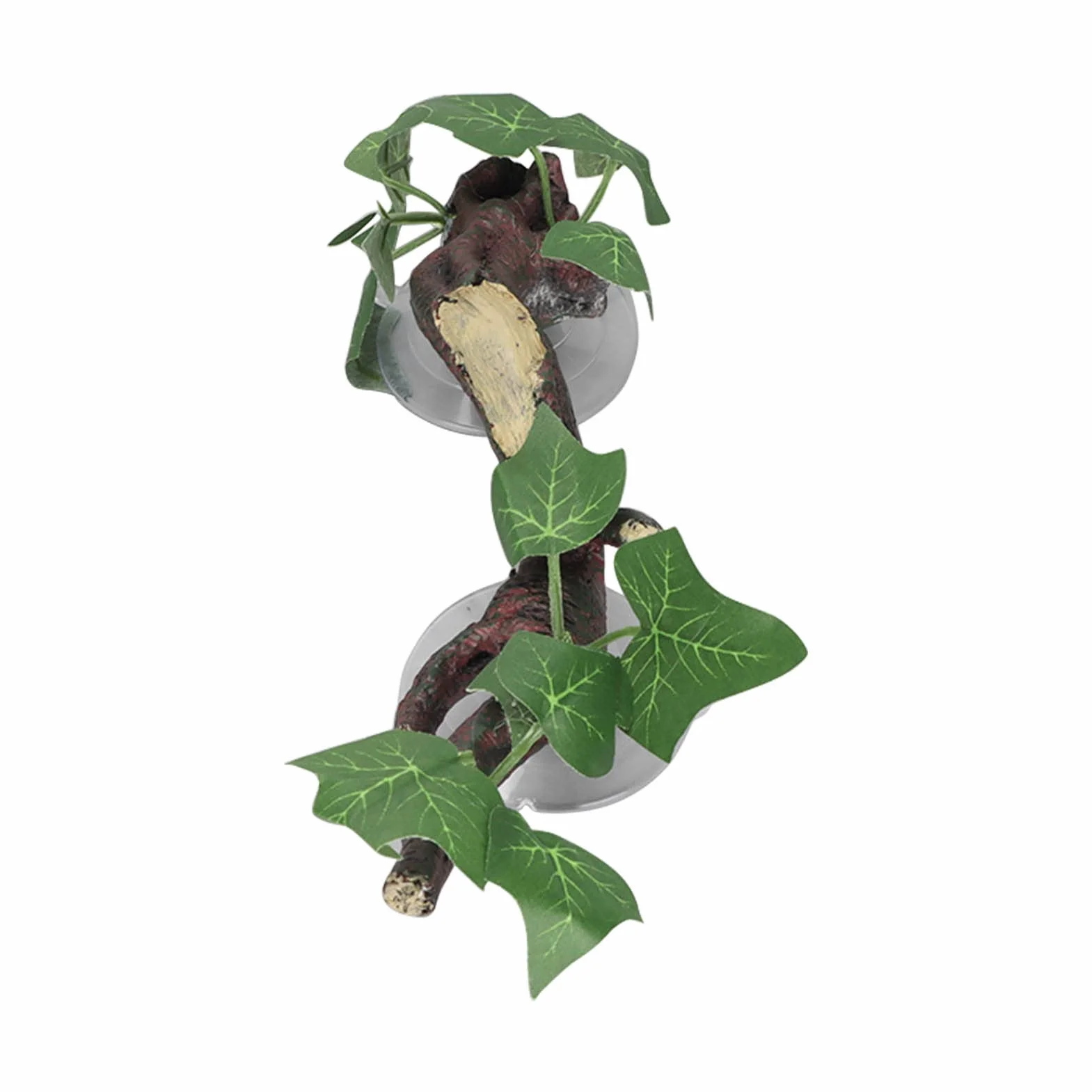 Gałęzie dla Gadów, Rośliny Wężowe do Terrarium, Dekoracja Akwarium