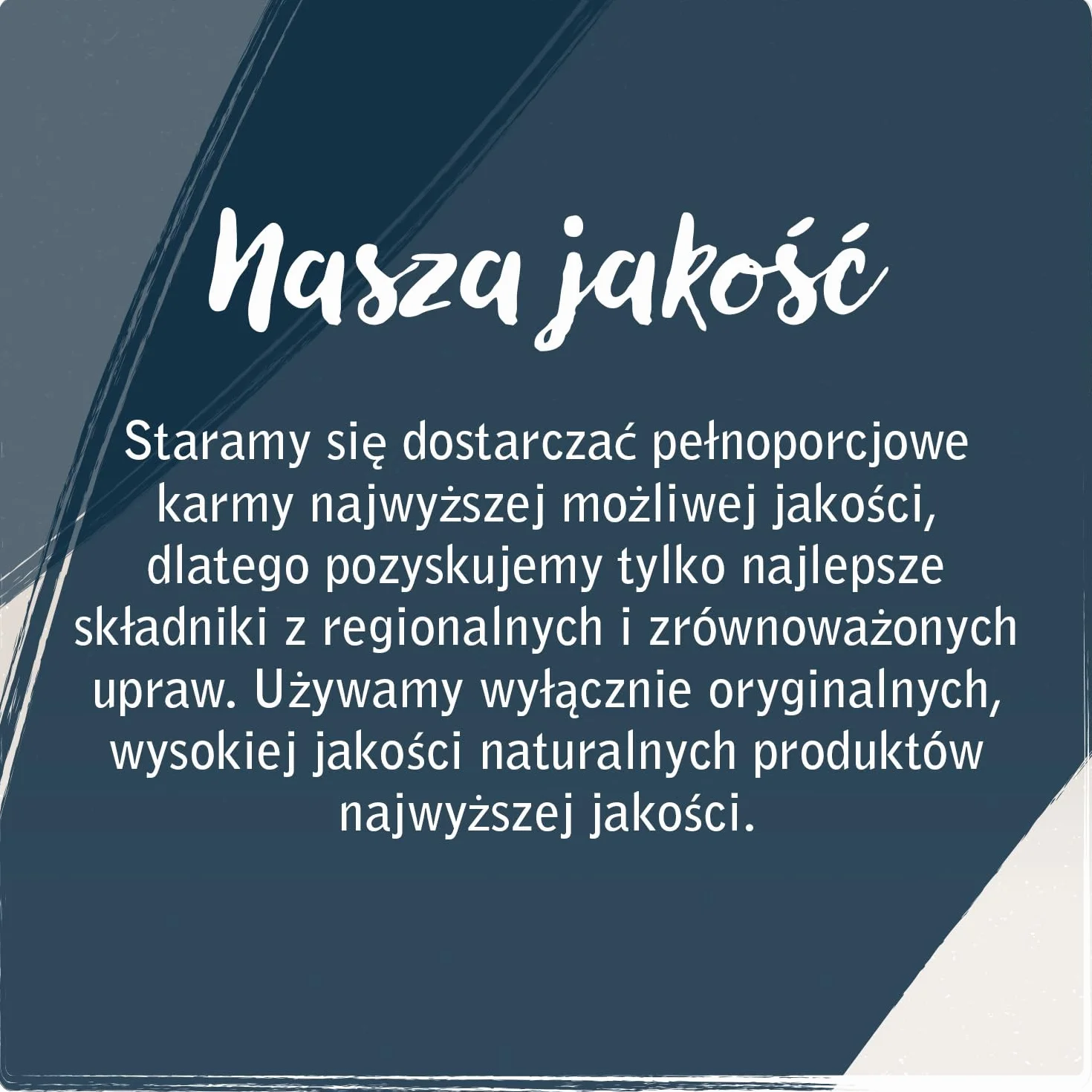 VenandiAnimal Wysokiej jakości karma dla kotów - jagnięcina, ze świeżym mięsem, sucha karma, bez zbóż, 1 opakowanie (1 x 1,5 kg)