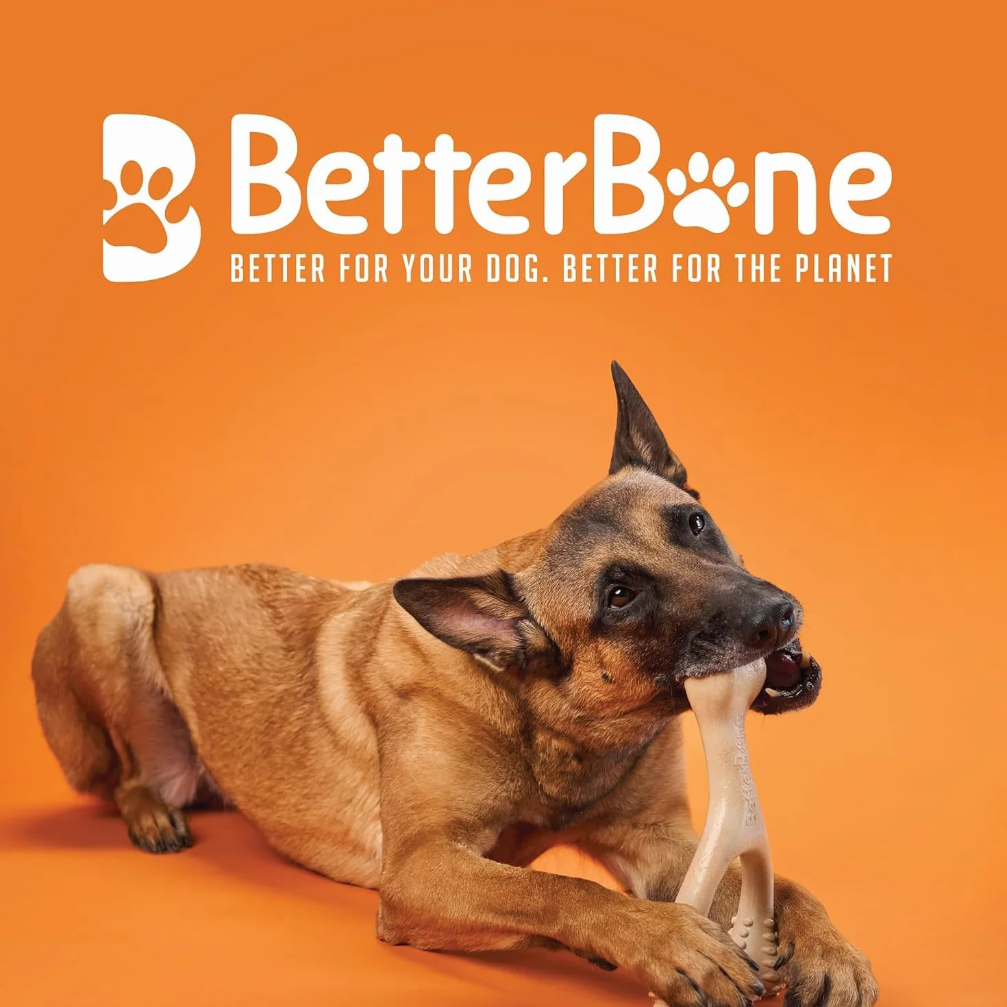 BetterBone - Zabawka dla psa do żucia – Small Hard Classic – wegańska kość do żucia dla psa, bez nylonu i GMO na bazie celulozy, bardzo twarda, neutralny smak, nie odpryskuje i hipoalergiczna