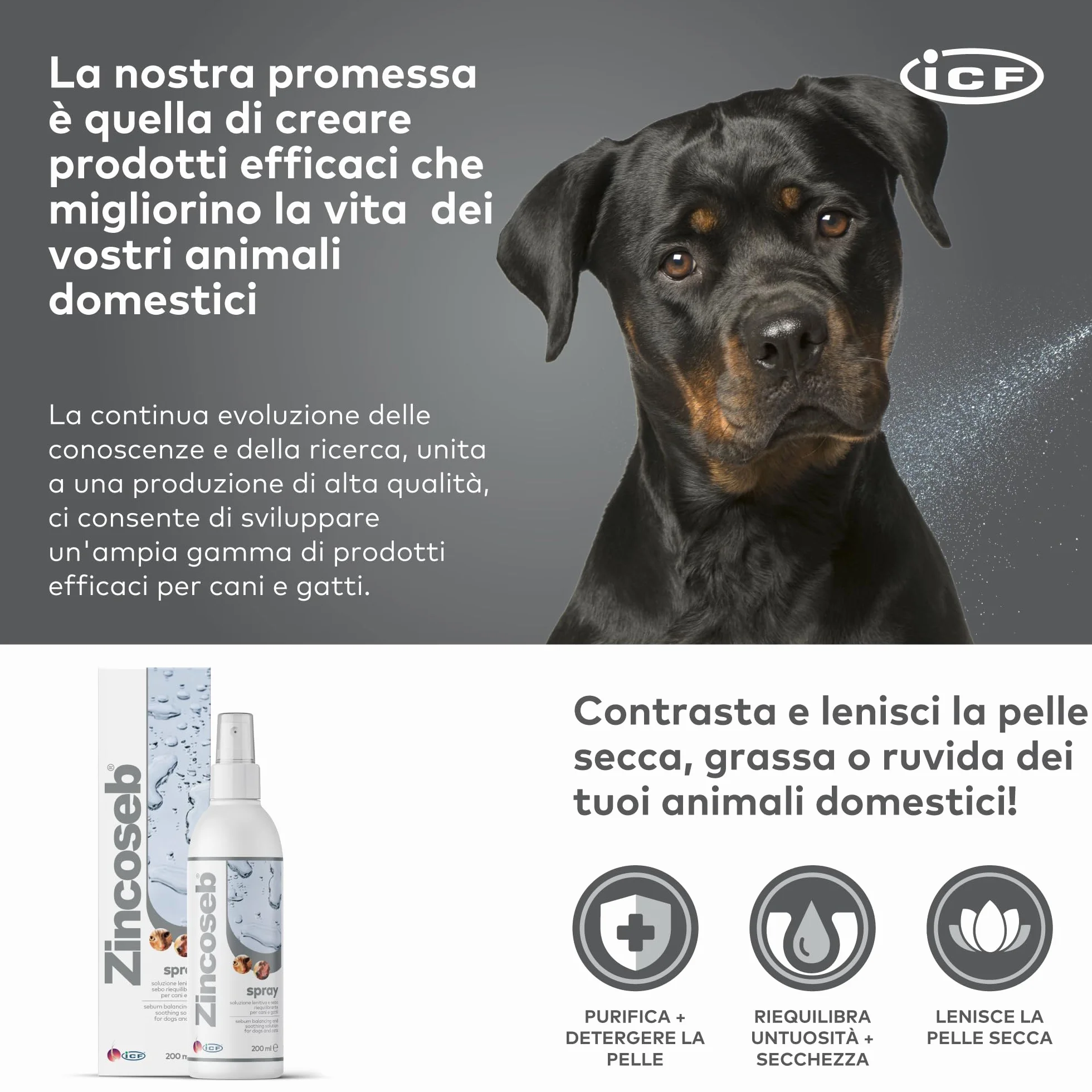 Geulincx Zincoseb Spray 200 ml ICF
