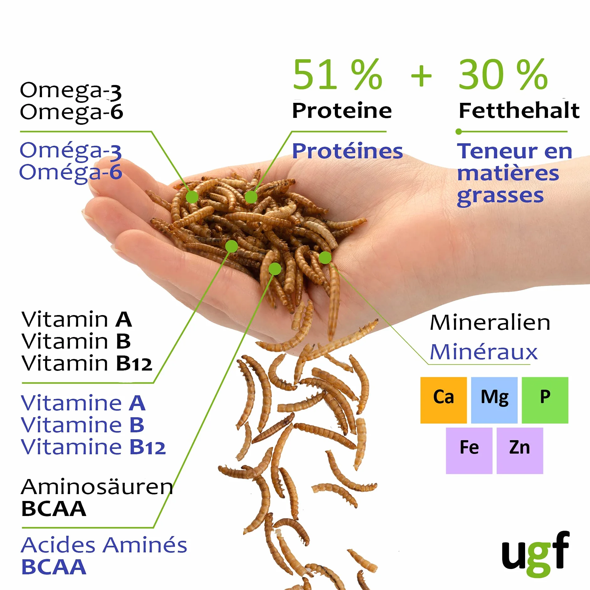UGF - Premium Mączniki 3-Litrowe Wiadro - 460 g w wiaderku 3-litrowym, karma dla ptaków dzikich, całoroczna, karma dla jeży, karma dla wiewiórek, karma dla chomików