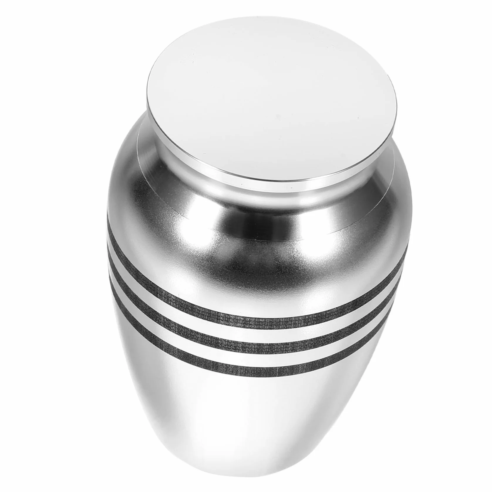 Pet Urn for Dogs and Cats Keepsake Ashes Container Stylish and Alloy Cinerary Casket for Pet Memorials