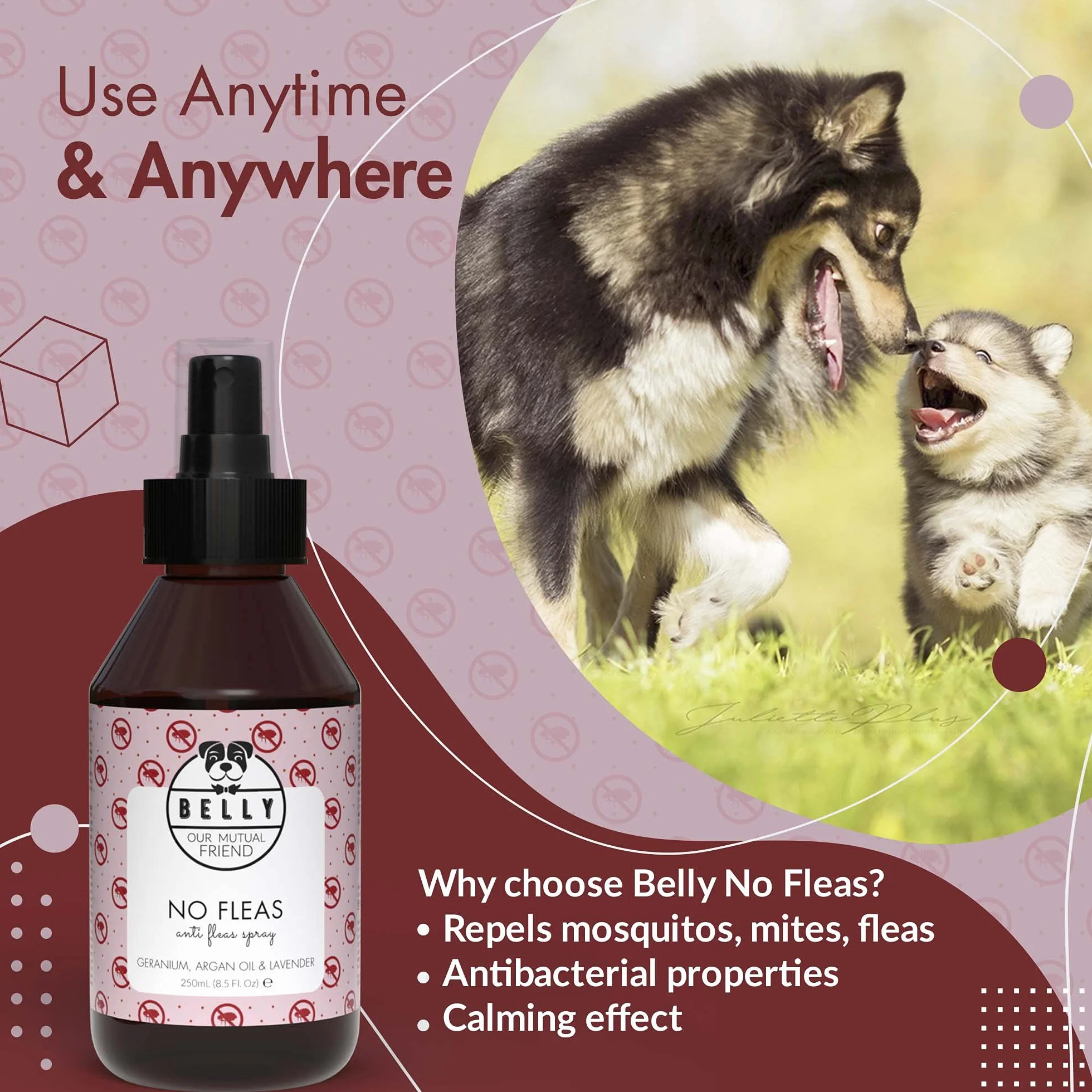 Belly Spray przeciw pchłom, 250 ml, bez plam i pozostałości, domowy spray przeciw pchłom z lawendą, geranium, olejem arganowym, chroni pchły, kleszcze i komary - Wegański - Wyprodukowano w Niemczech