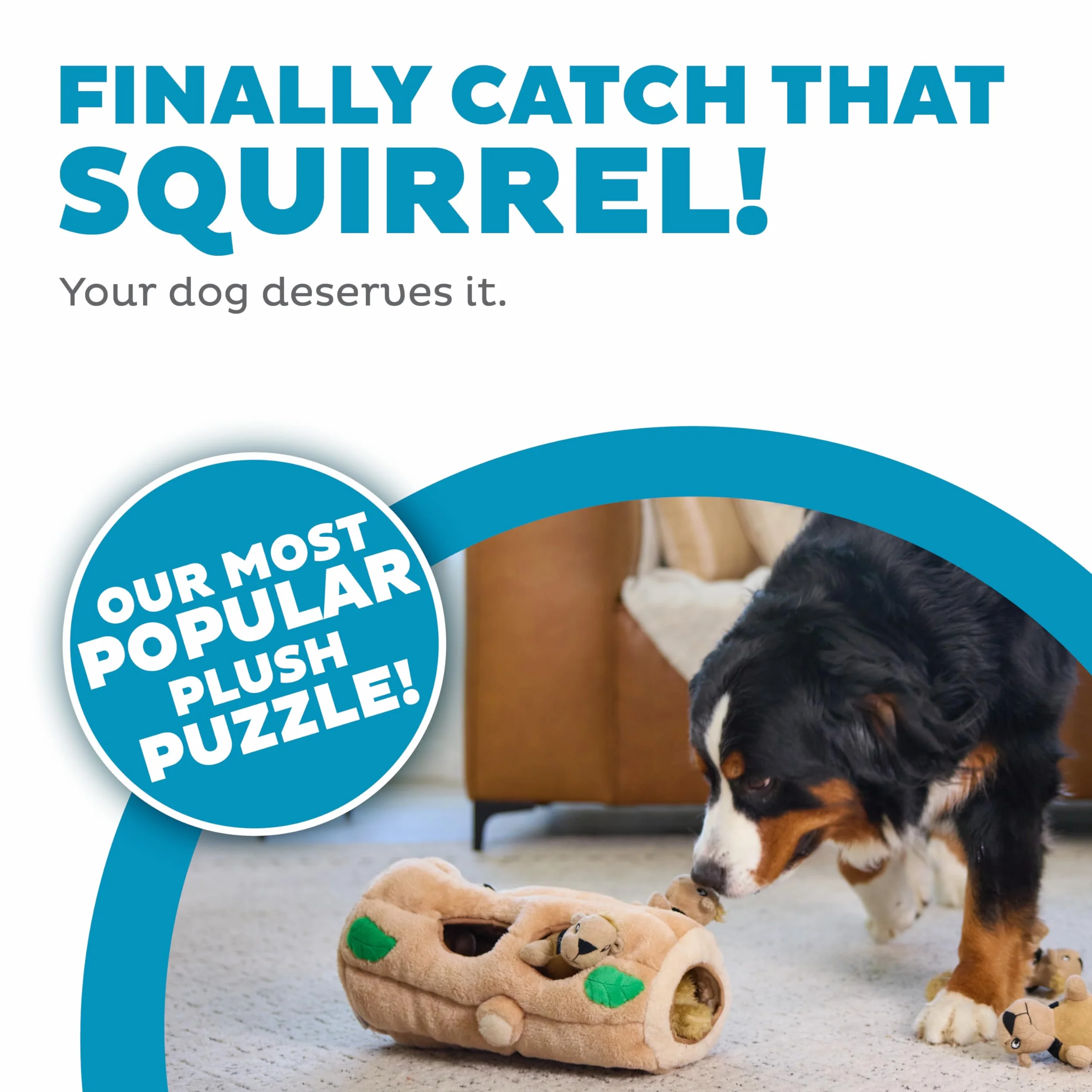 Outward Hound Hide A Squirrel - Zabawka pluszowa dla psów - pod postacią wiewiórek - kolor brązowy - rozmiar XL