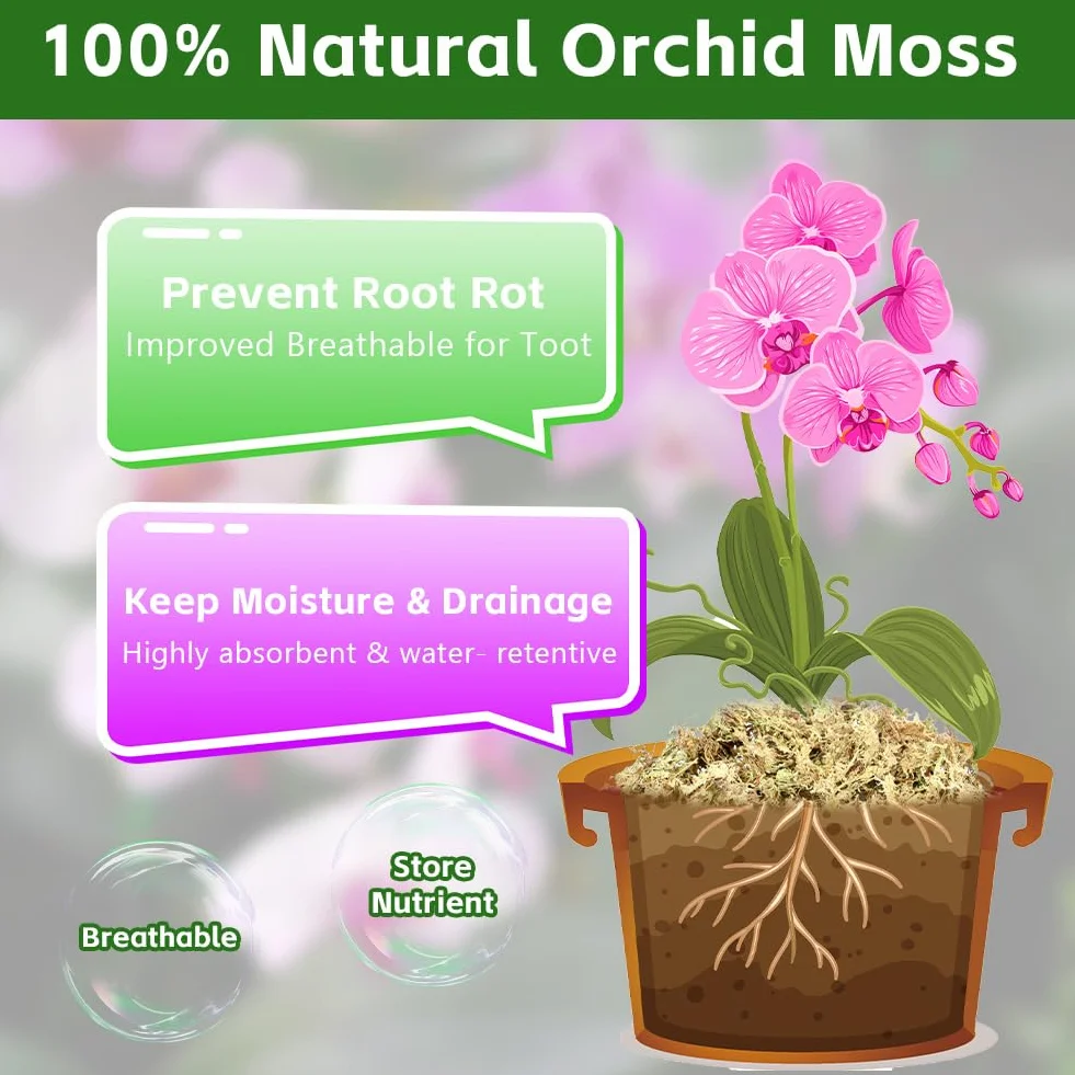 ãOFFCUP 150g Premium torfowiec do terrarium Naturalne kamienie mchu terrarium dla gadów Turfmech dla storczyków Rośliny mięsożerne Sukulenty Kwiaty ogrodoweÓ