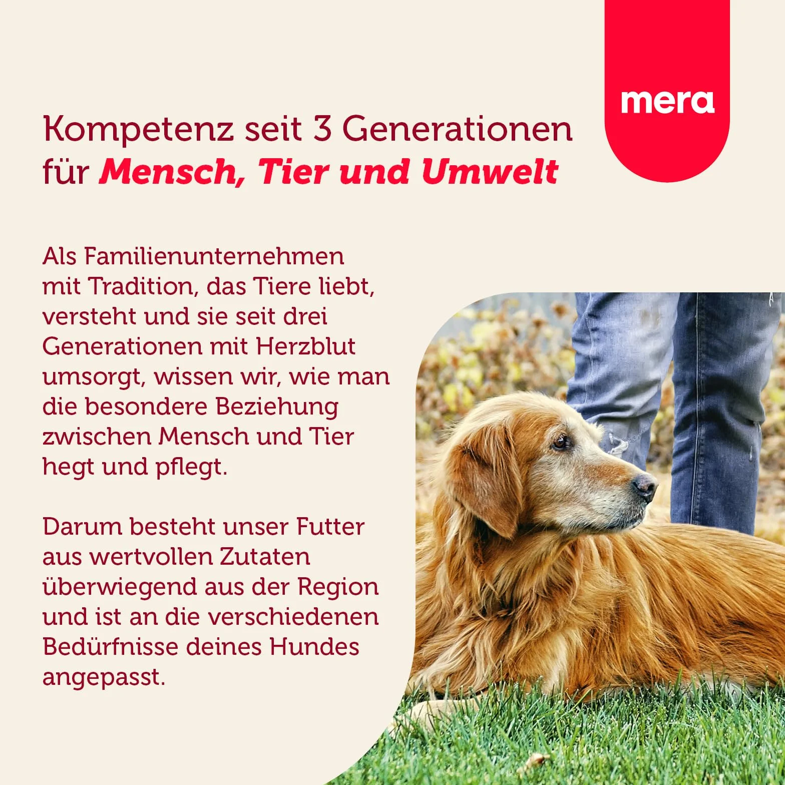 MERA Essential Senior sucha karma dla psów, sucha karma dla starszych psów, wszystkich ras i rozmiarów, Omega-3 i Omega-6, dla skóry i błyszczącej sierści, Dry Dog Food