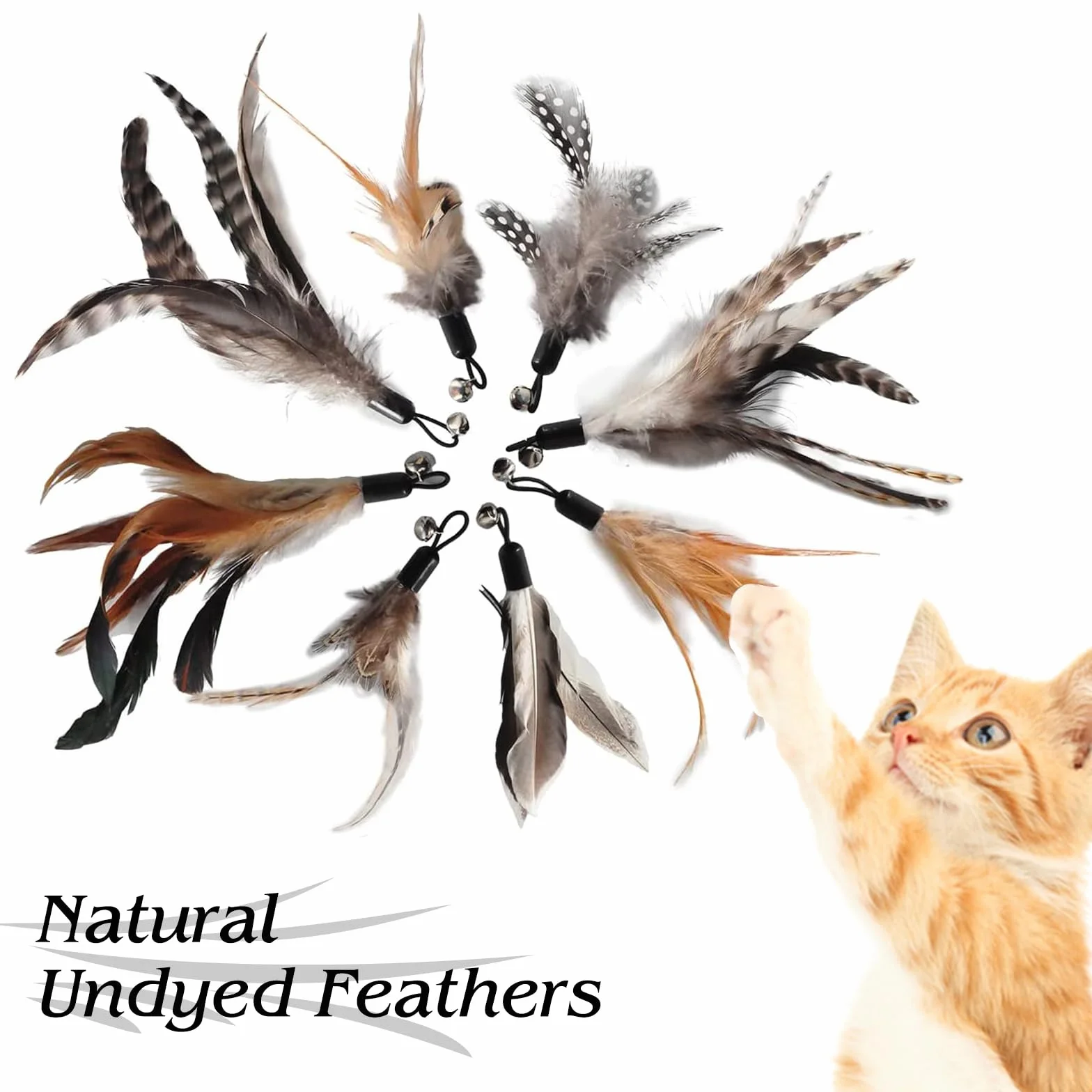 Kot Feather Toys, 8 sztuk zapasowych zabawek z piórami dla kotów, bez barwników chemicznych, łącznie z wkładami do naturalnych piór dla kotów